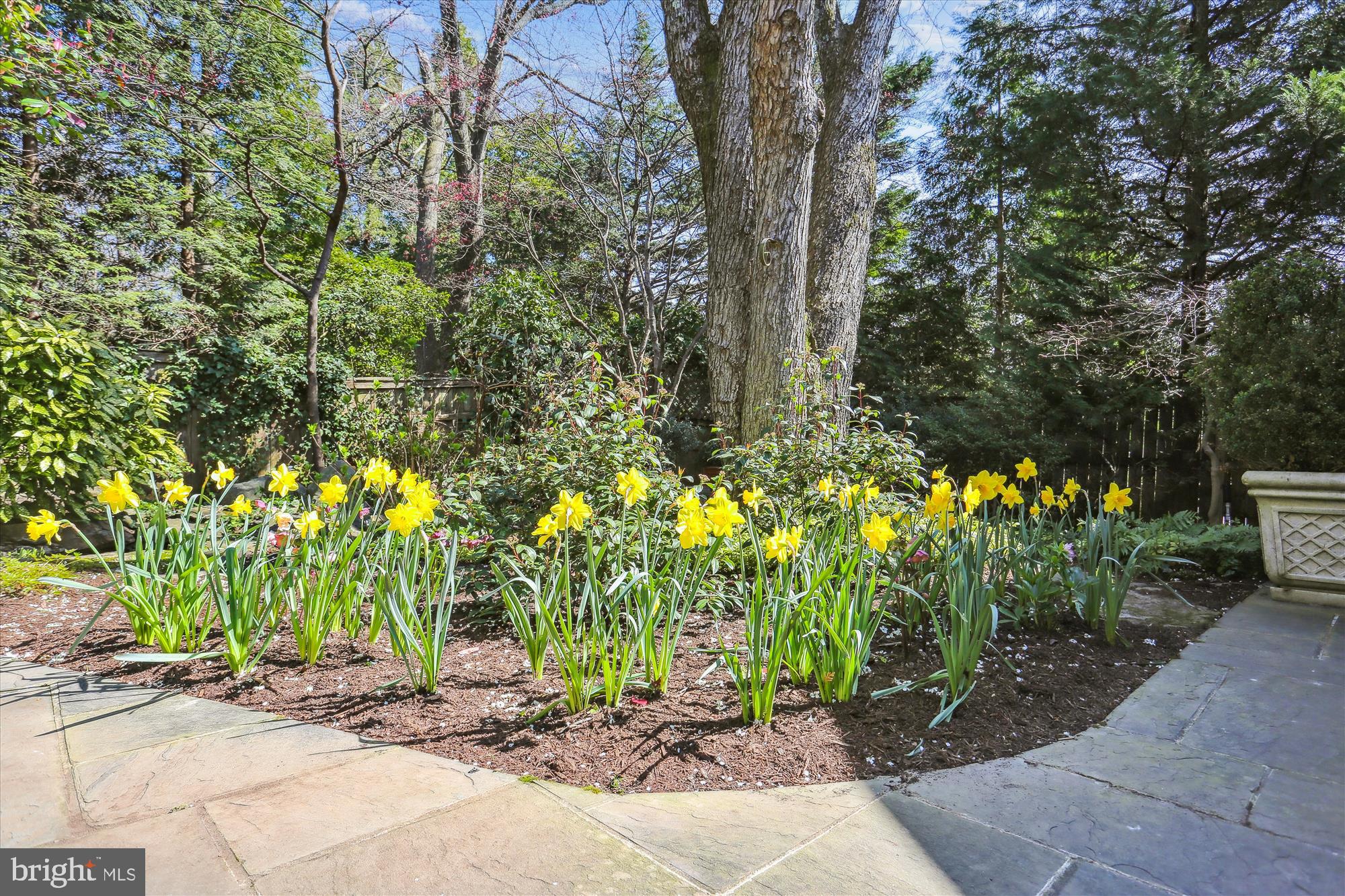 EDGEMOOR - Residential