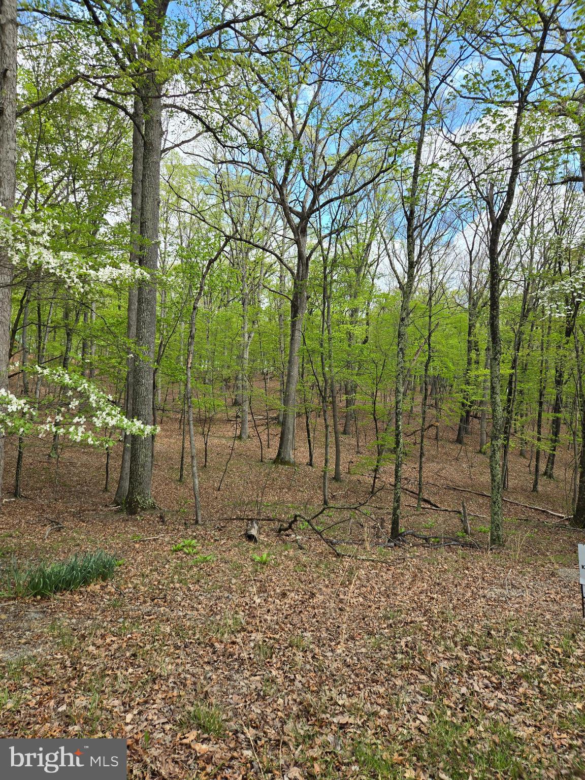 7.06 wooded acres in much sought after River Ridge Subdivision. Common area with access to the Sparkling Cacapon River. Lots of wildlife to enjoy in this gated community. Protective Covenants to ensure the beauty of nature remains. Buy now, Build later and Enjoy always!