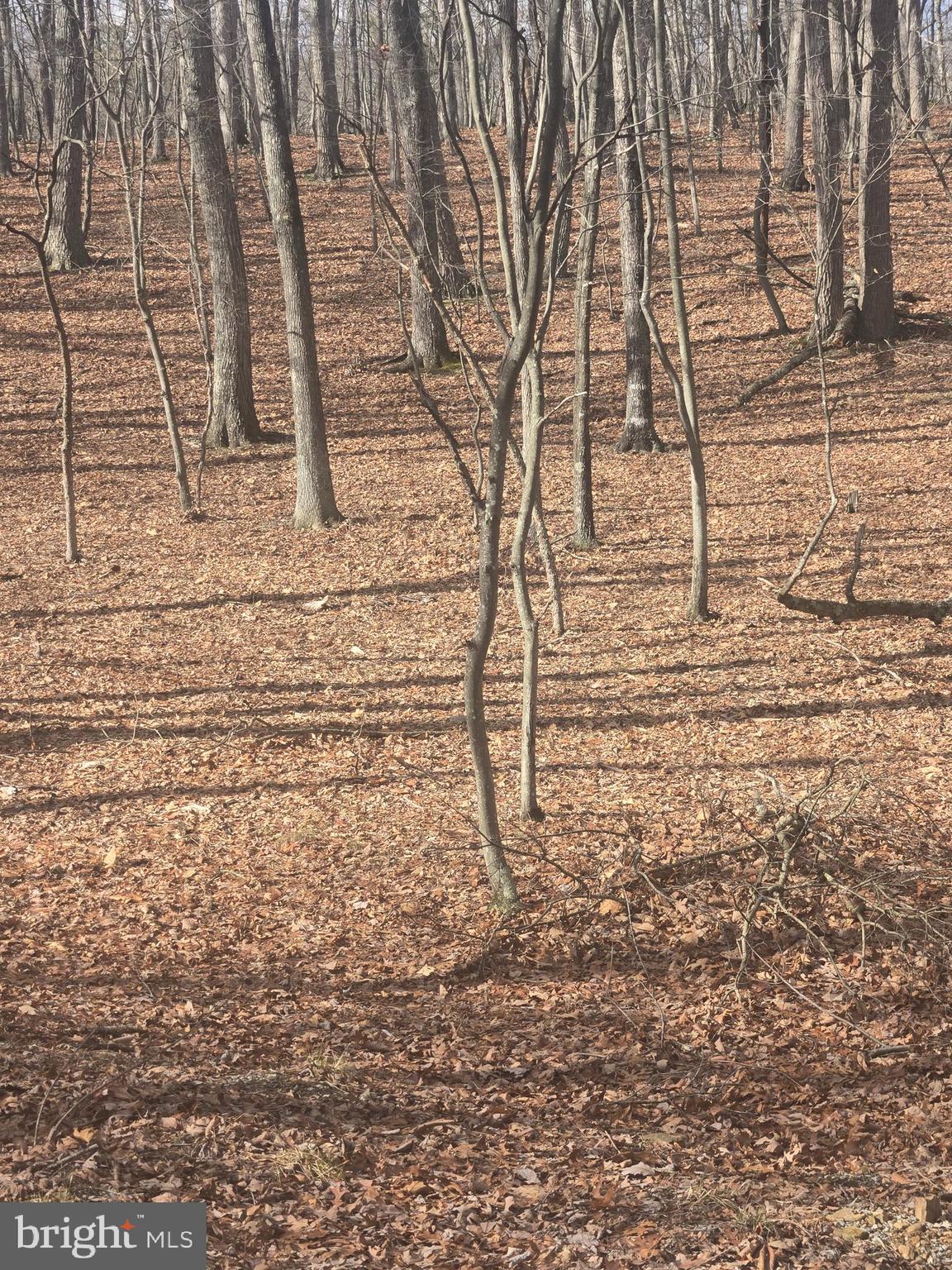 RIVER RIDGE SUBDIVISION - Land