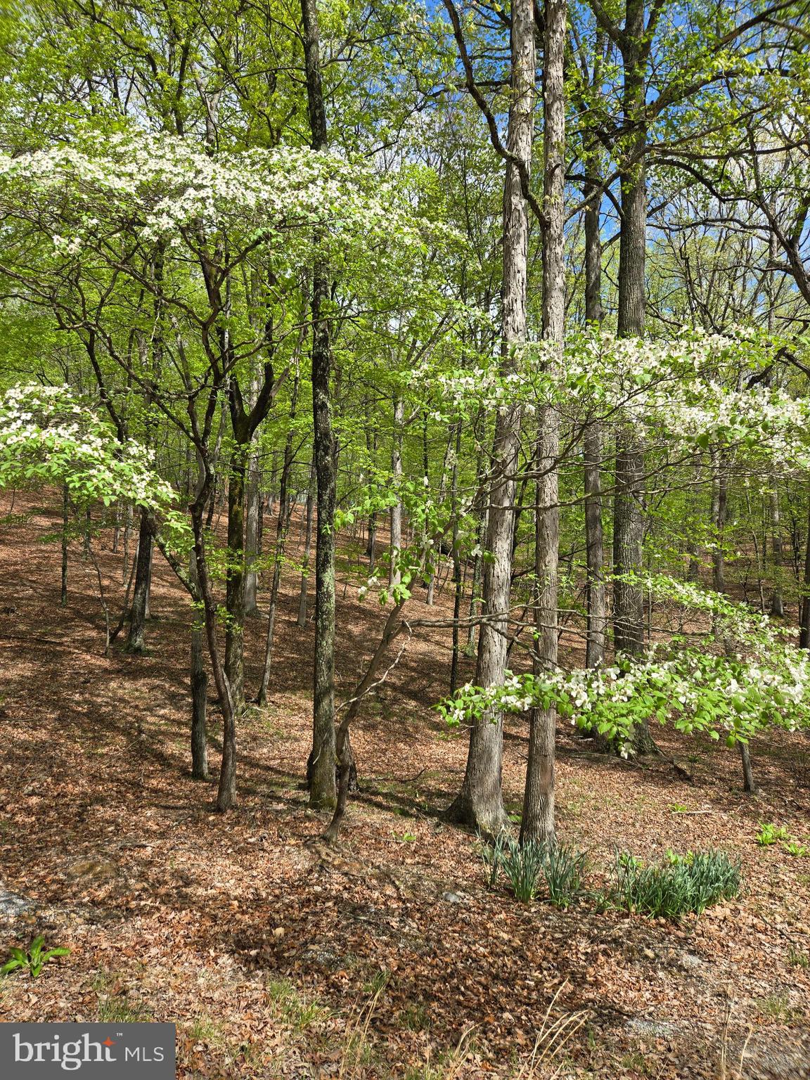 RIVER RIDGE SUBDIVISION - Land