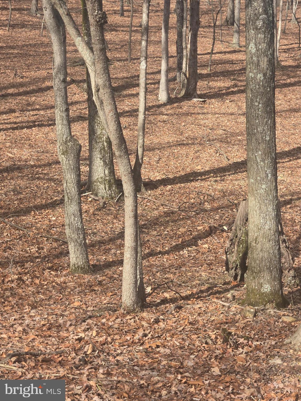 RIVER RIDGE SUBDIVISION - Land