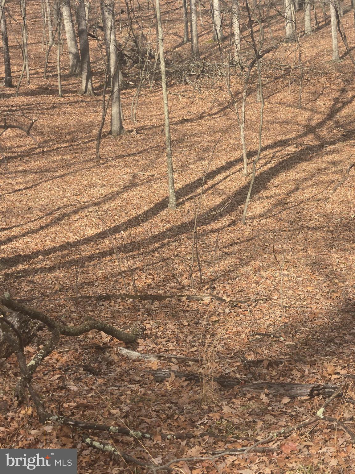 RIVER RIDGE SUBDIVISION - Land