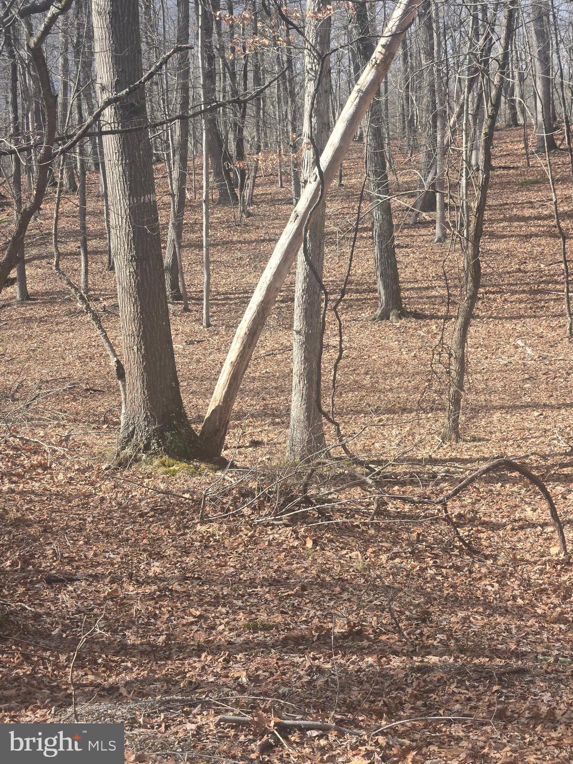 RIVER RIDGE SUBDIVISION - Land