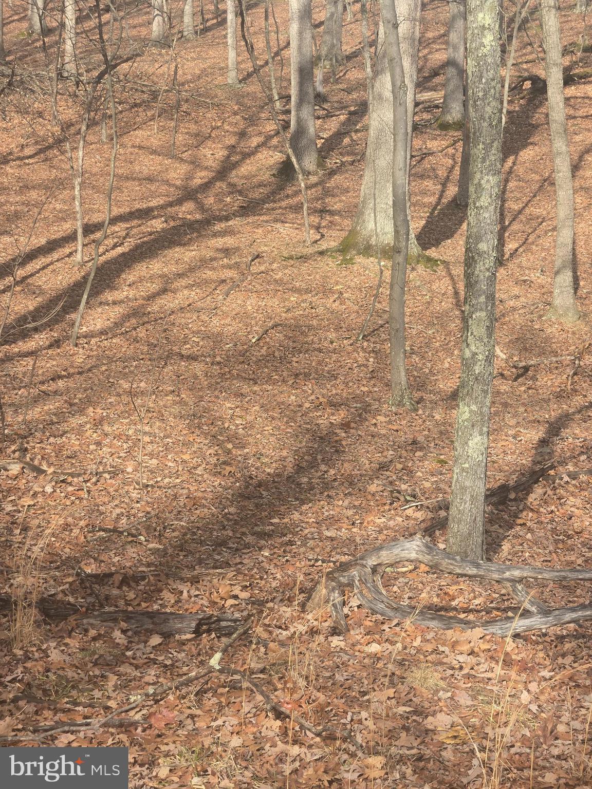 RIVER RIDGE SUBDIVISION - Land