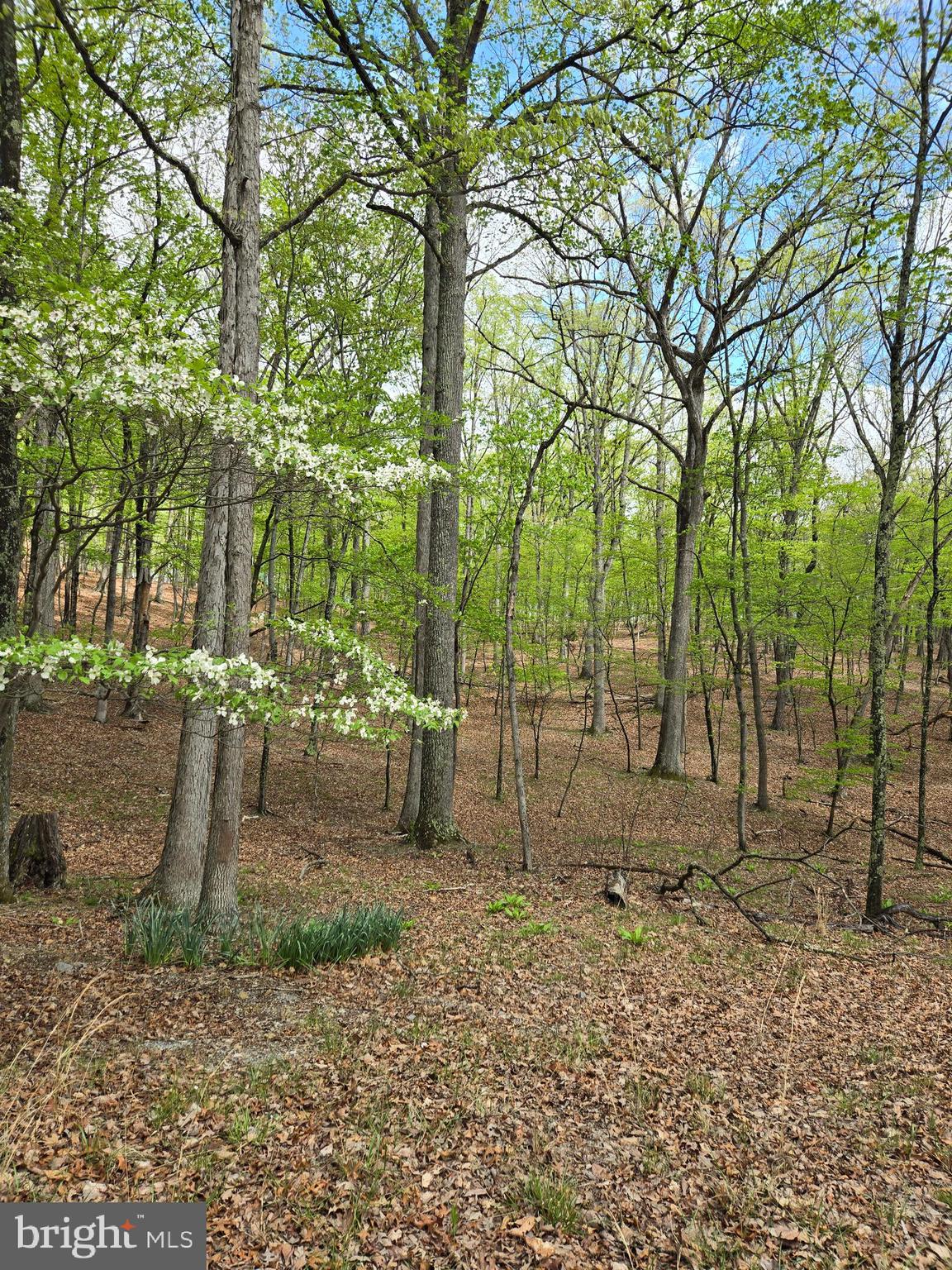 RIVER RIDGE SUBDIVISION - Land