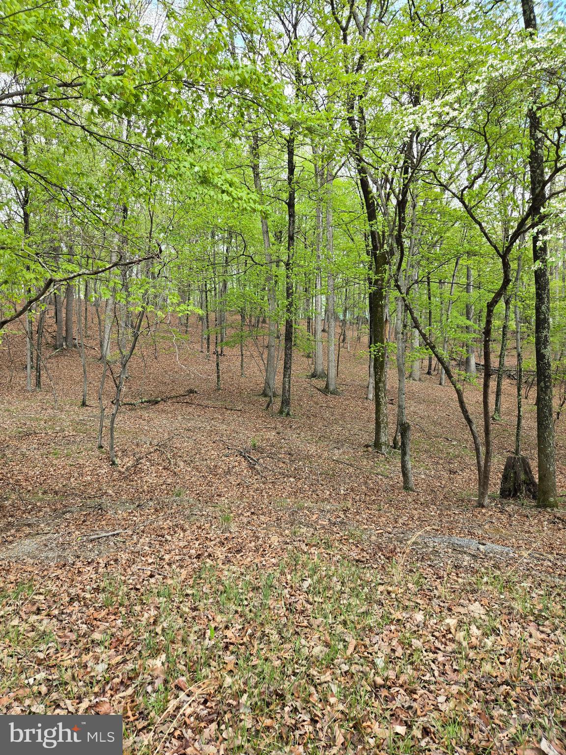 RIVER RIDGE SUBDIVISION - Land