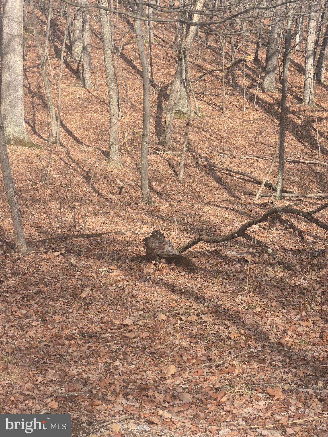 RIVER RIDGE SUBDIVISION - Land