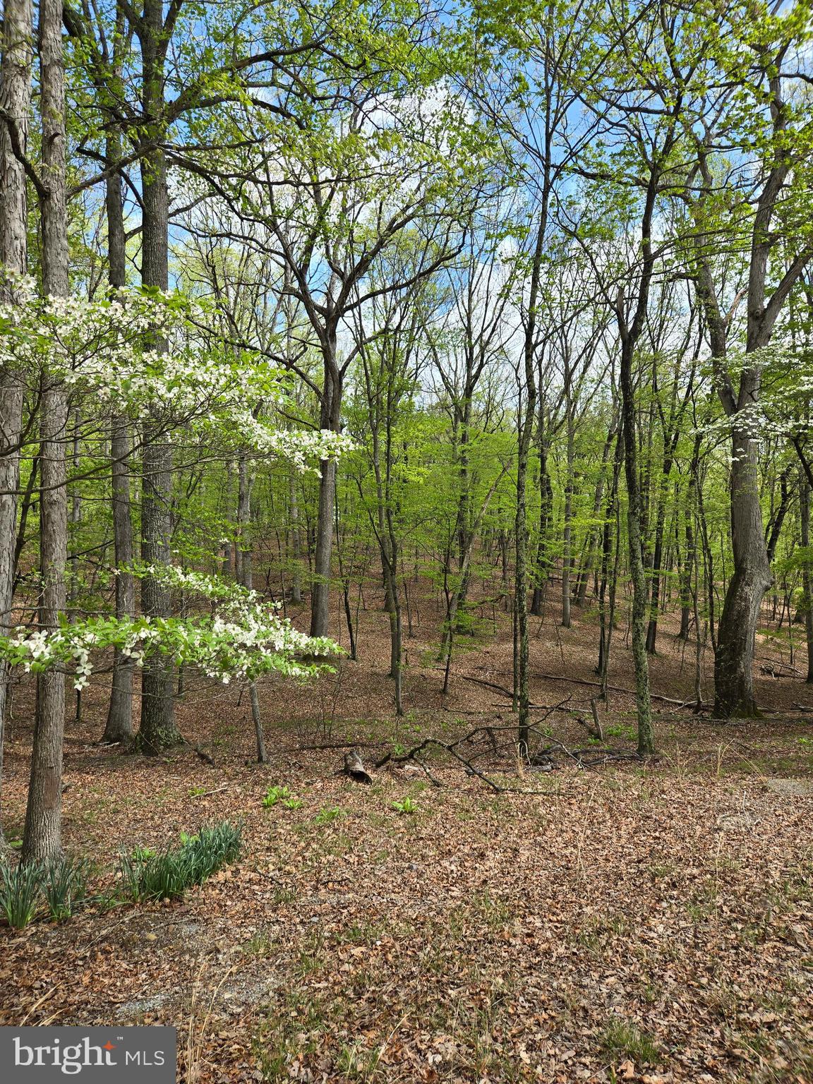 RIVER RIDGE SUBDIVISION - Land