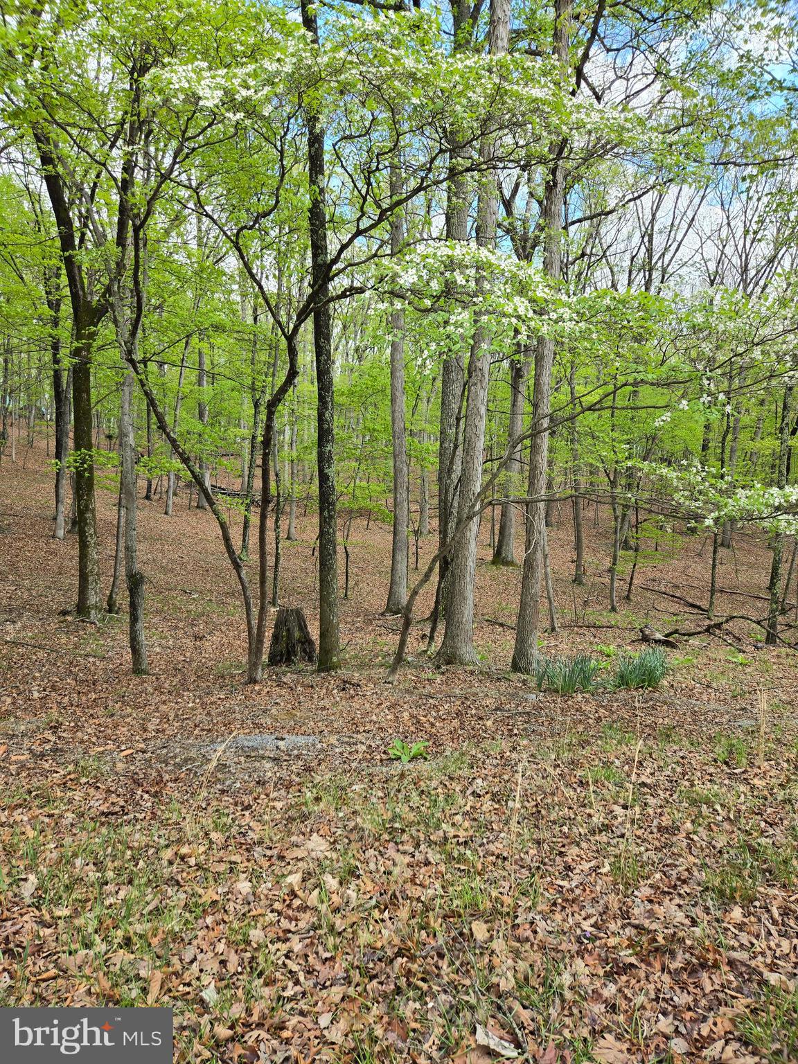 RIVER RIDGE SUBDIVISION - Land