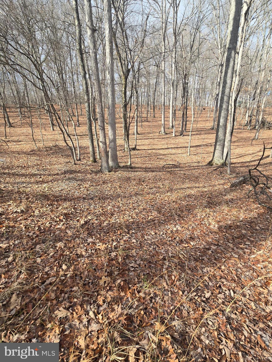 RIVER RIDGE SUBDIVISION - Land