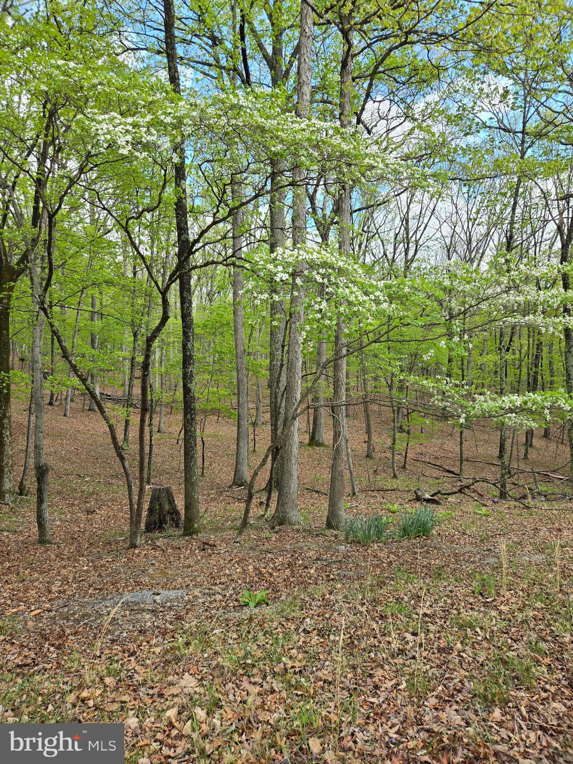 RIVER RIDGE SUBDIVISION - Land