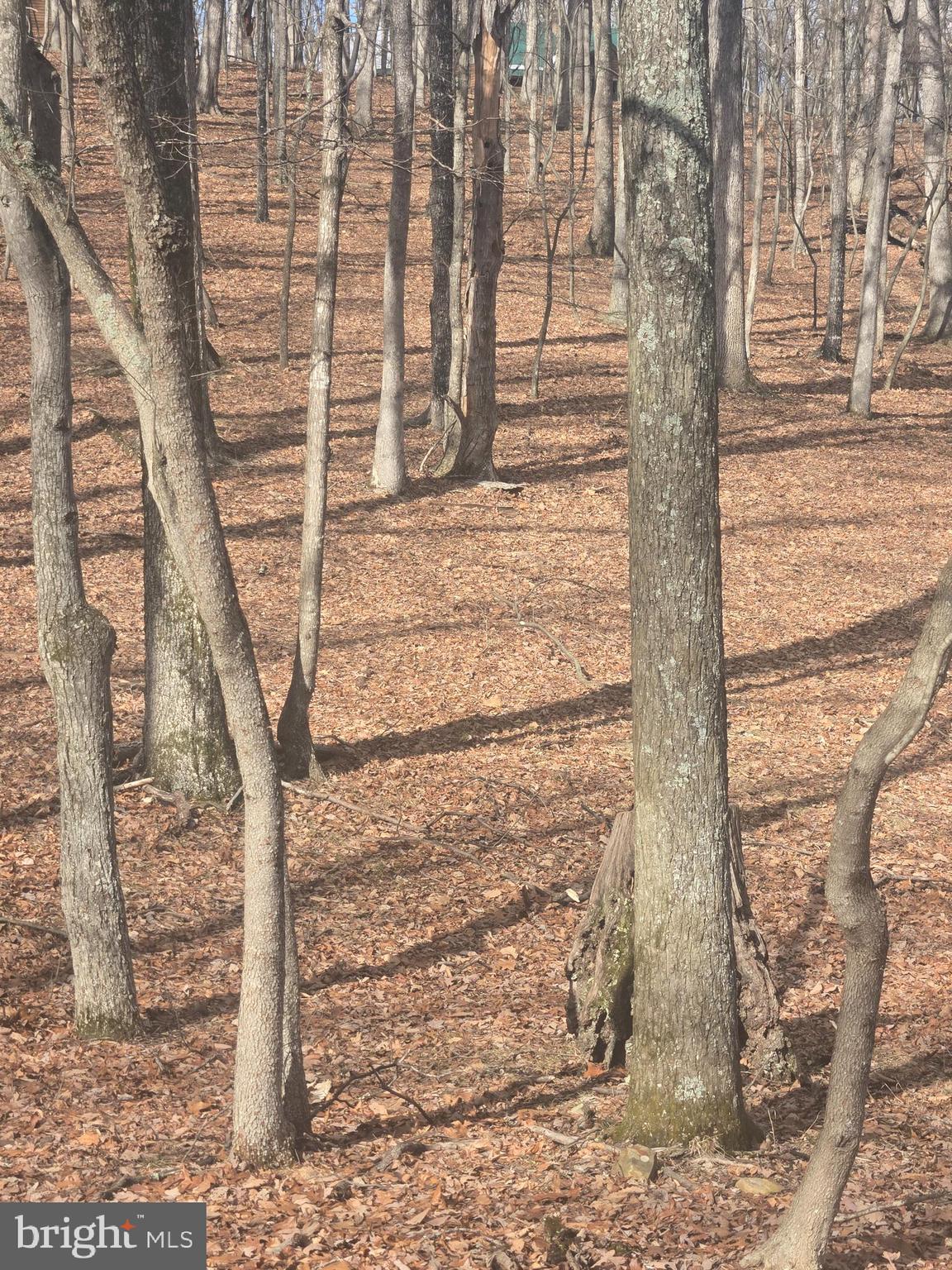 RIVER RIDGE SUBDIVISION - Land