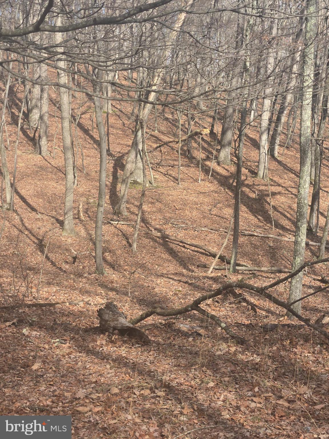 RIVER RIDGE SUBDIVISION - Land