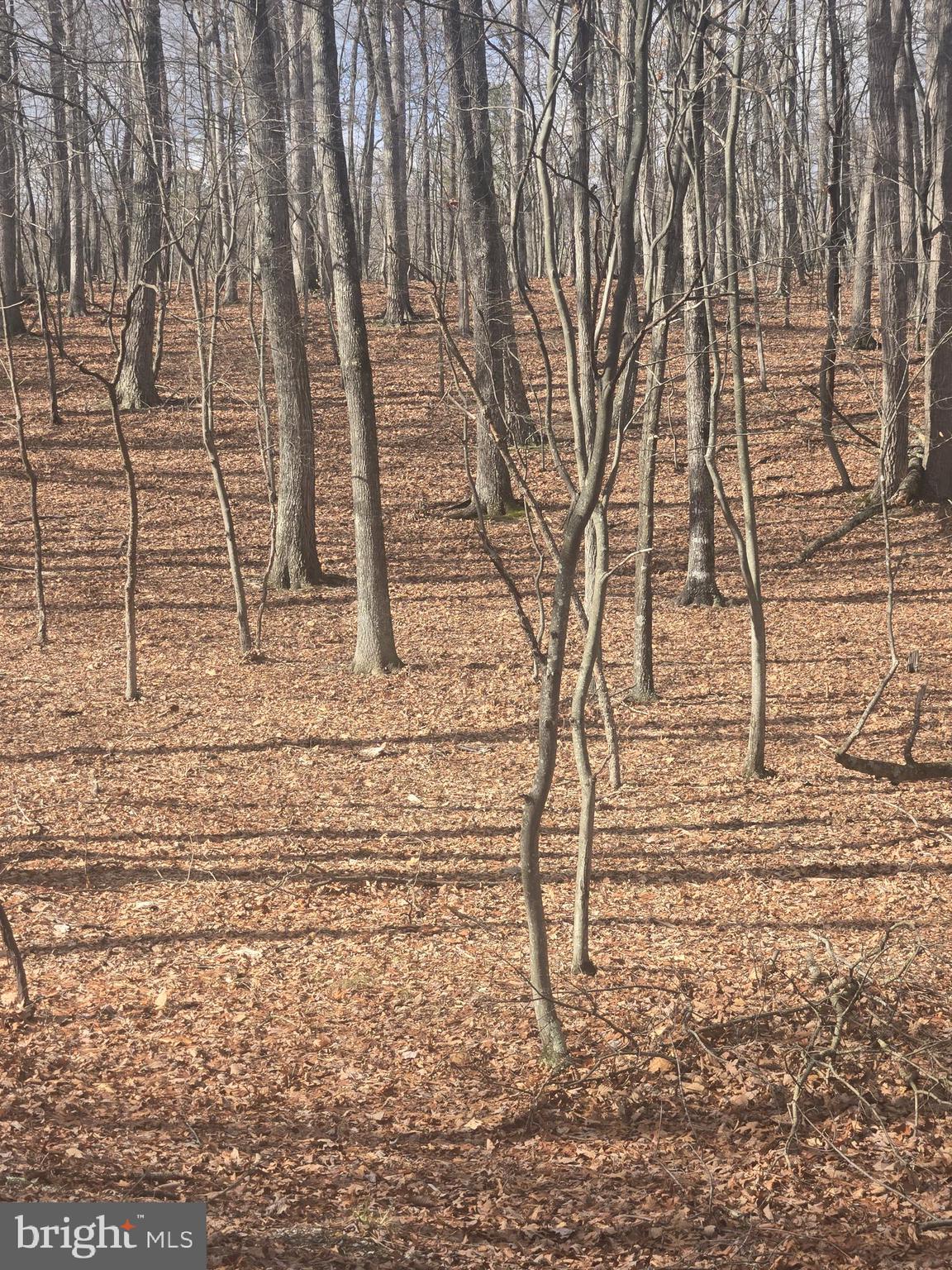 RIVER RIDGE SUBDIVISION - Land