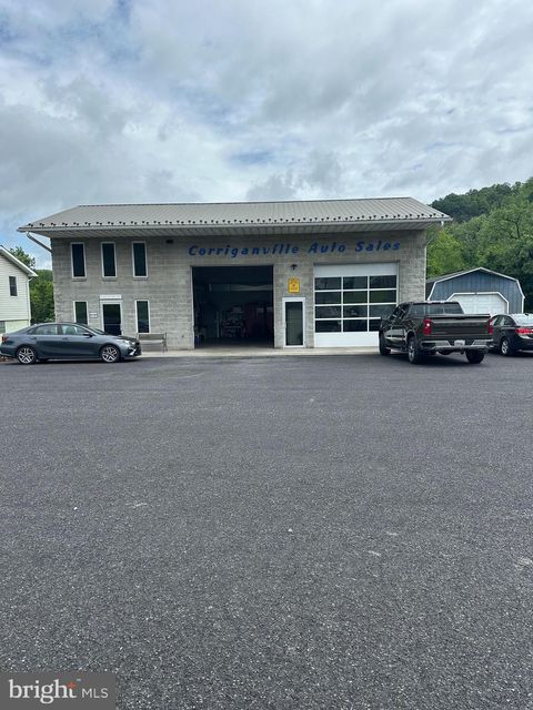 10587 MT SAVAGE ROAD CORRIGANVILLE MD 21524