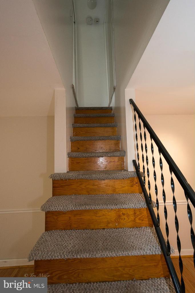 BUTCHER'S HILL - Residential