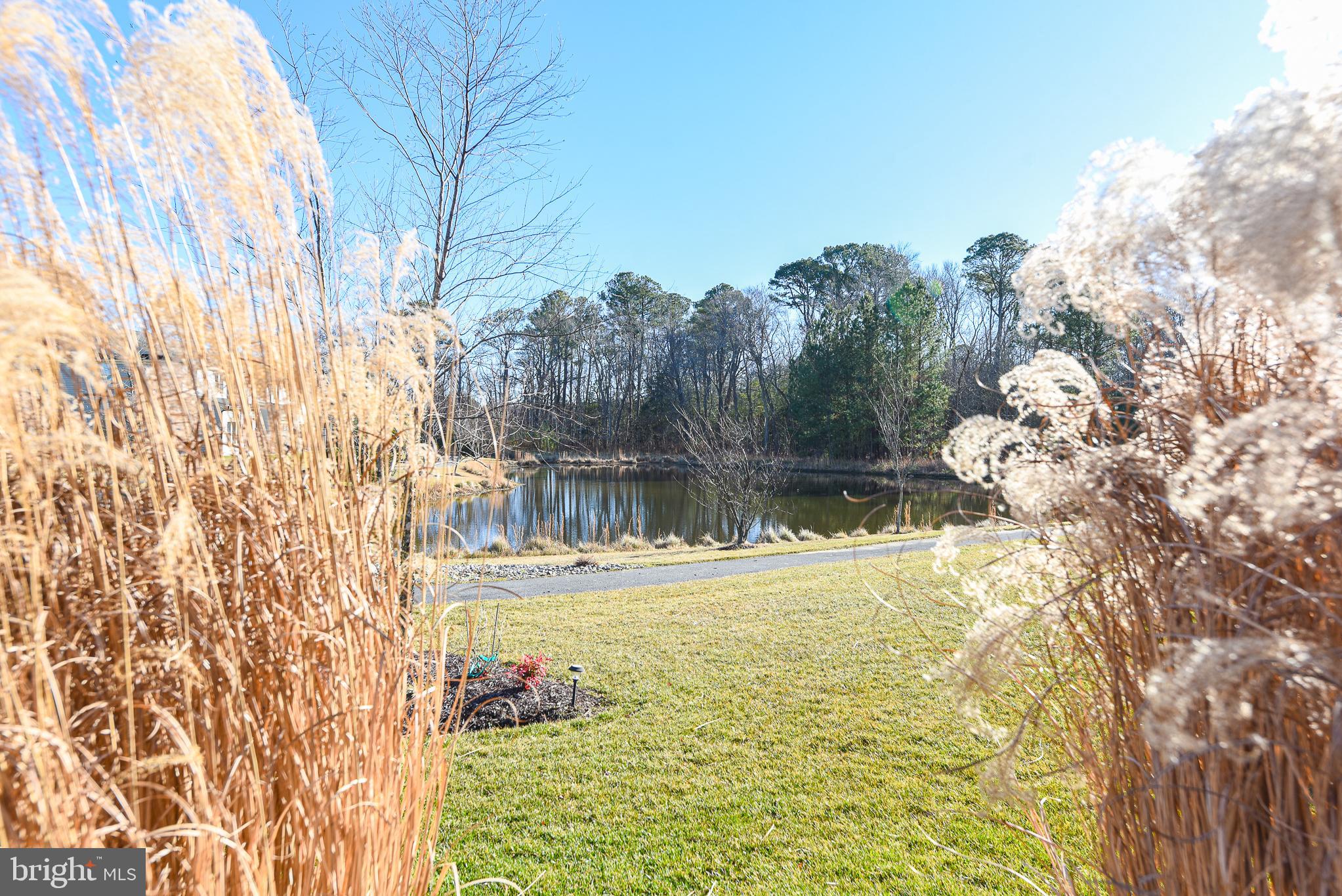 BAY FOREST CLUB - Residential