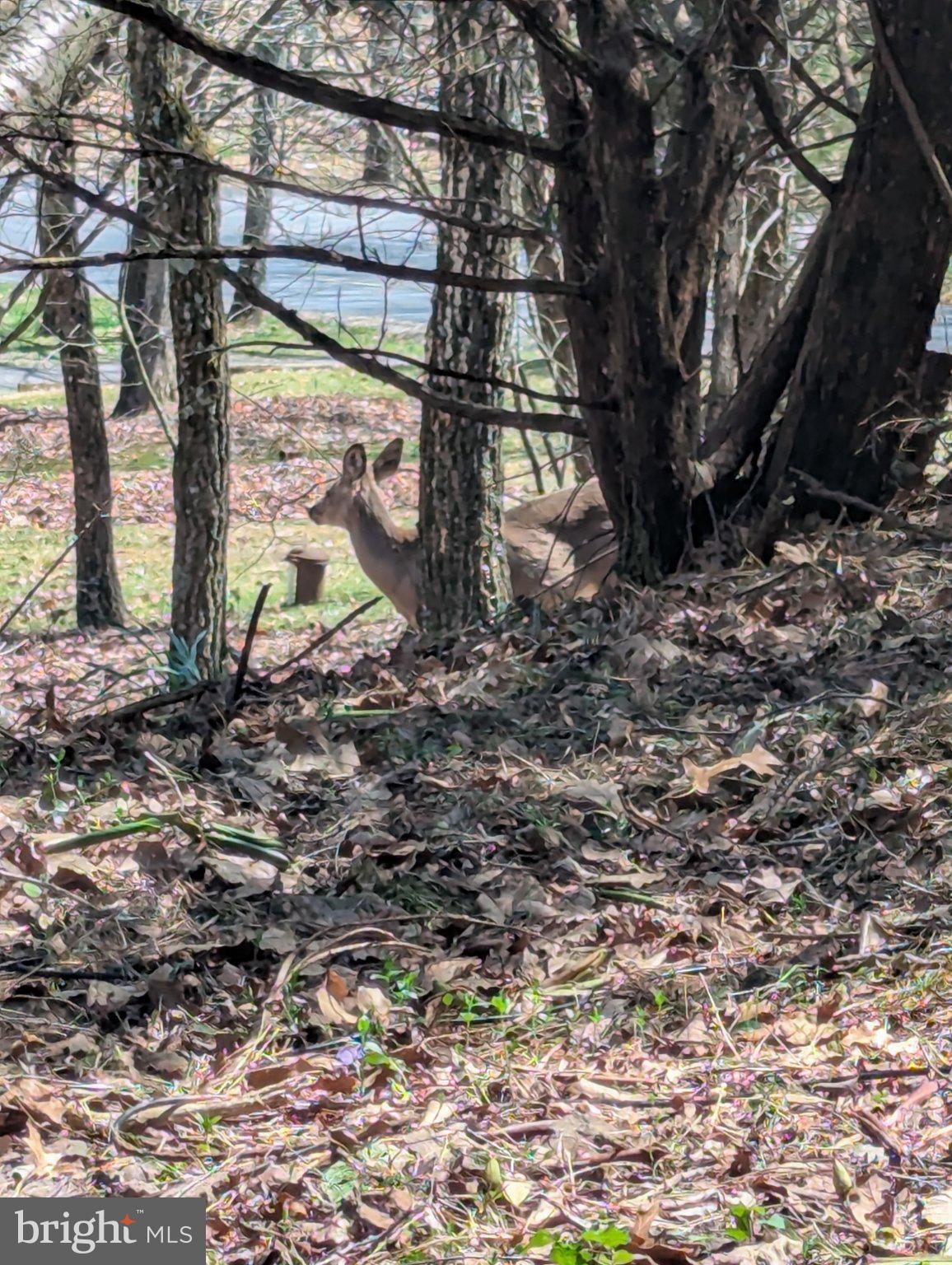 SIERRA VIEW - Residential