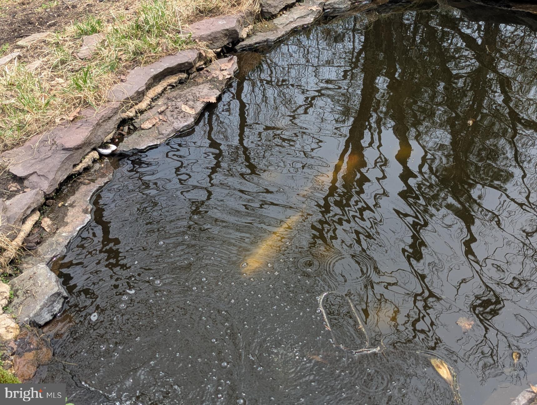 SIERRA VIEW - Residential