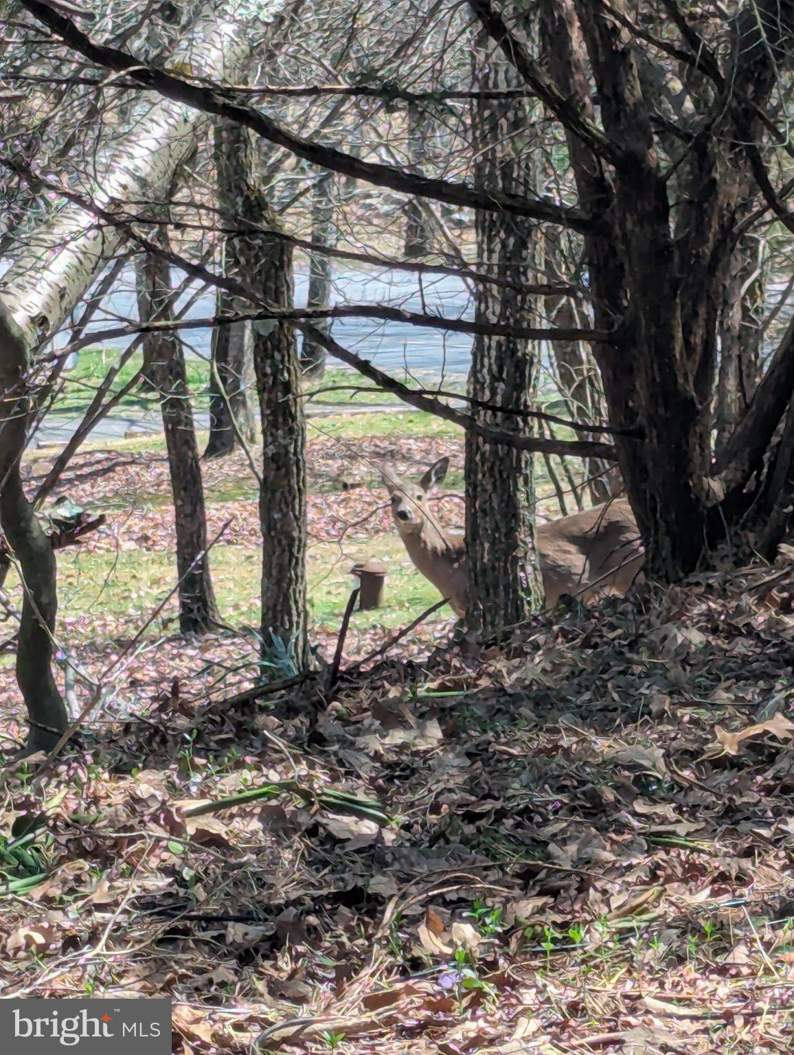 SIERRA VIEW - Residential