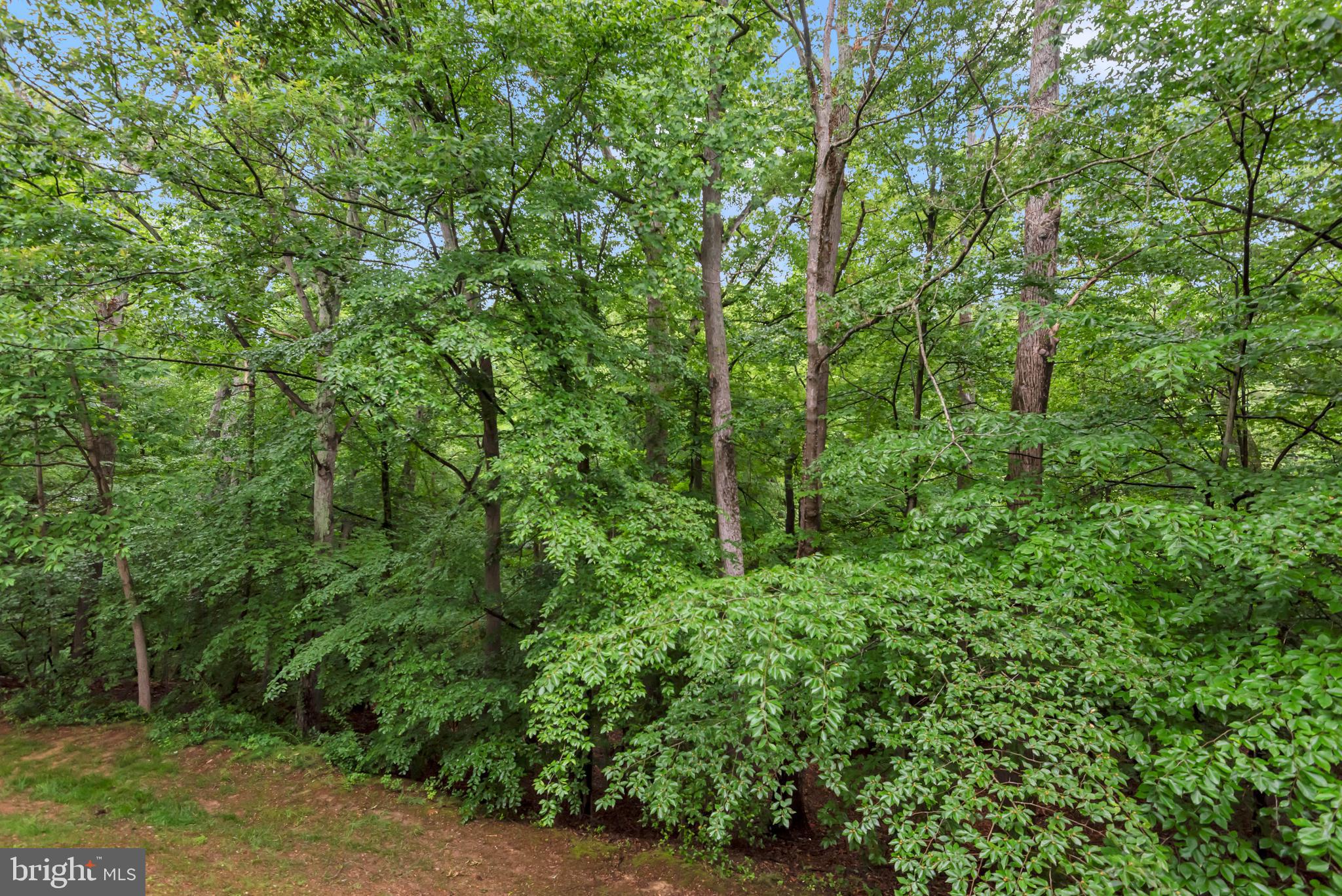 NORTH PORT - Residential