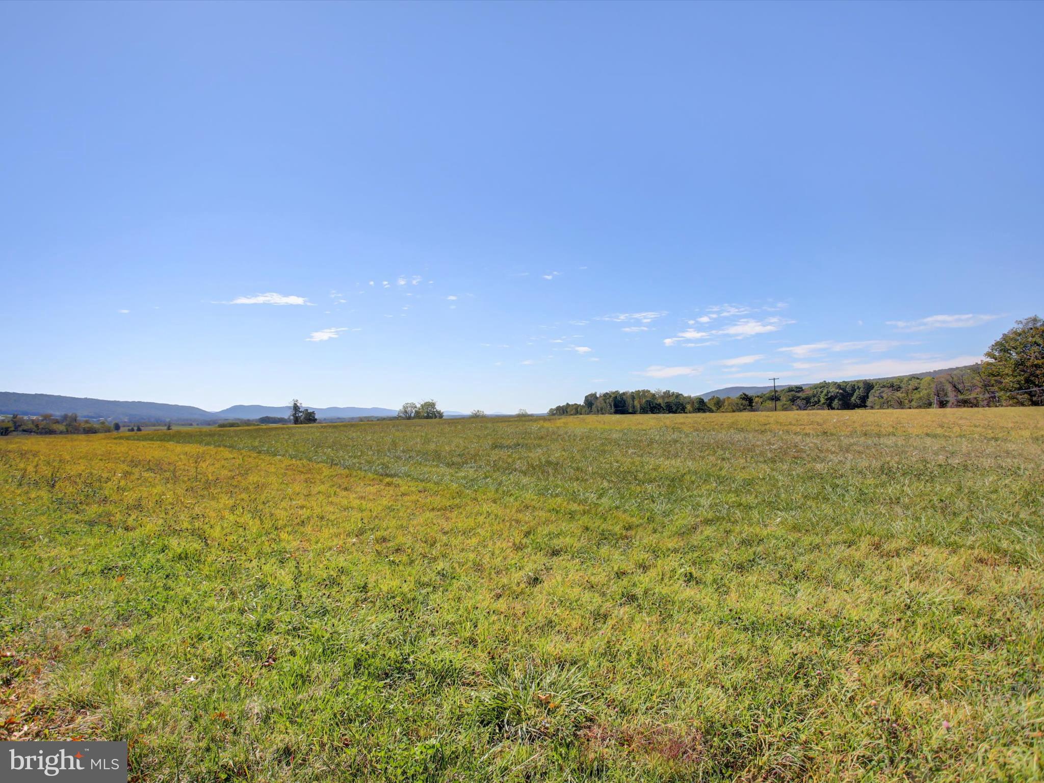 165 FLICKERVILLE ROAD