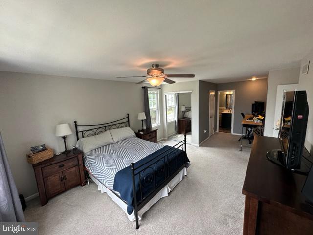 100 ACRE WOODS - Residential