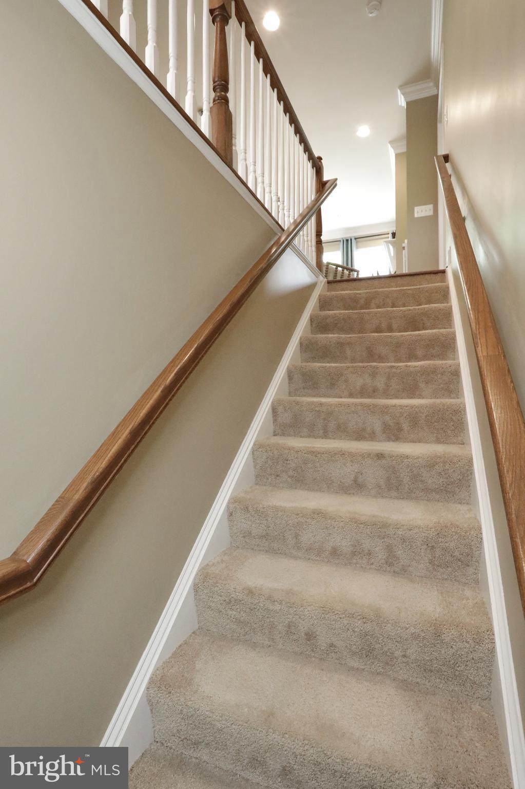 THE VILLAGES OF STEEPLECHASE - Residential