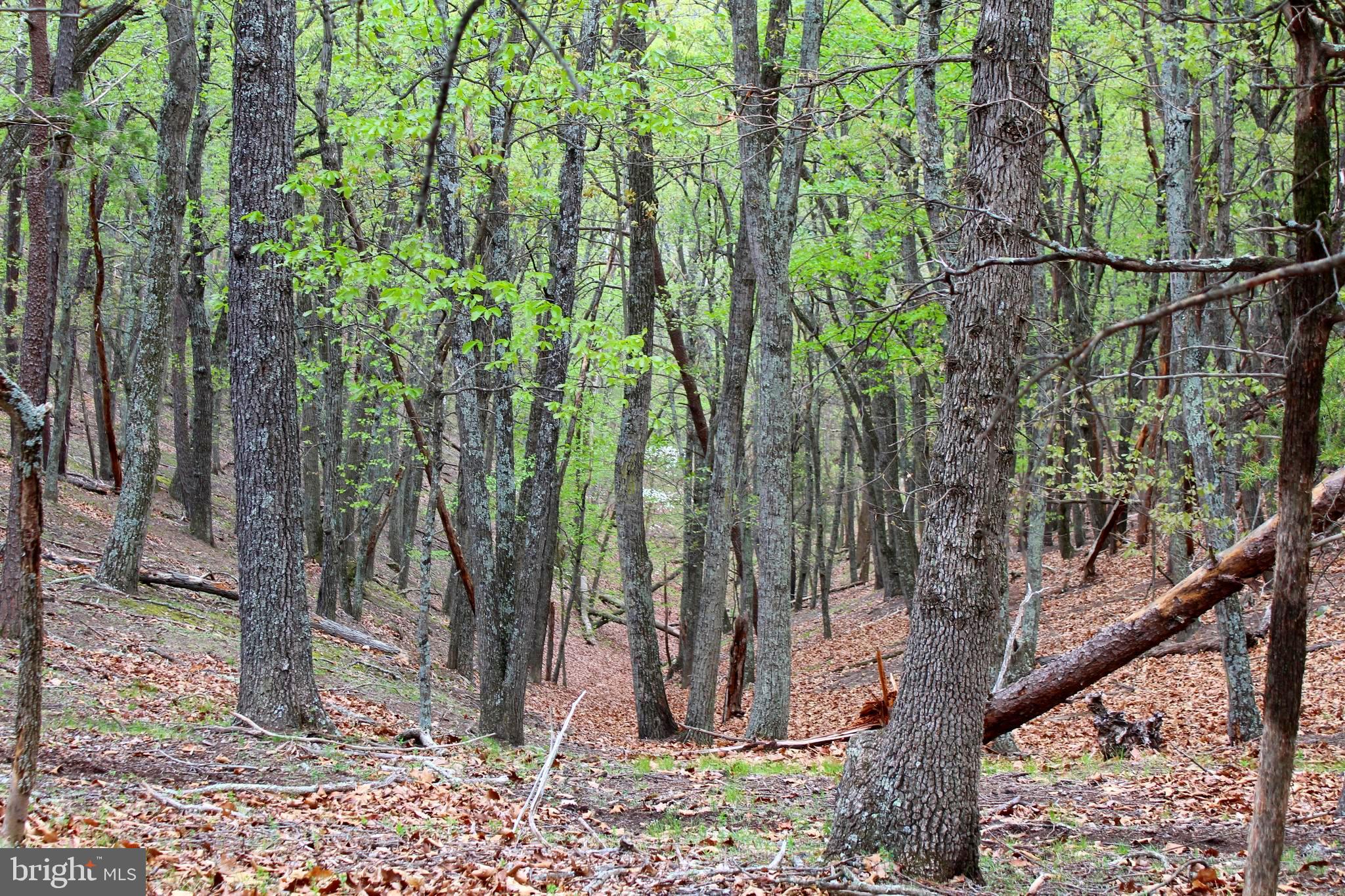 FLOWING SPRINGS - Residential