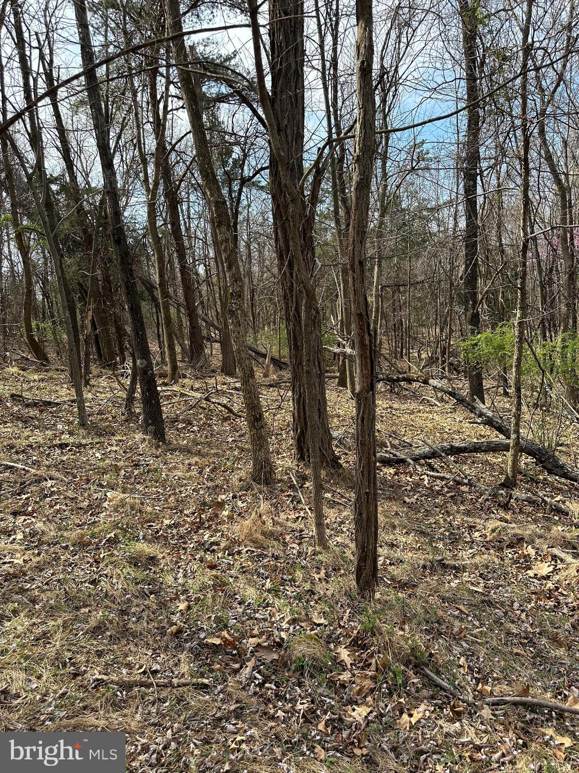 FLOWING SPRINGS - Residential