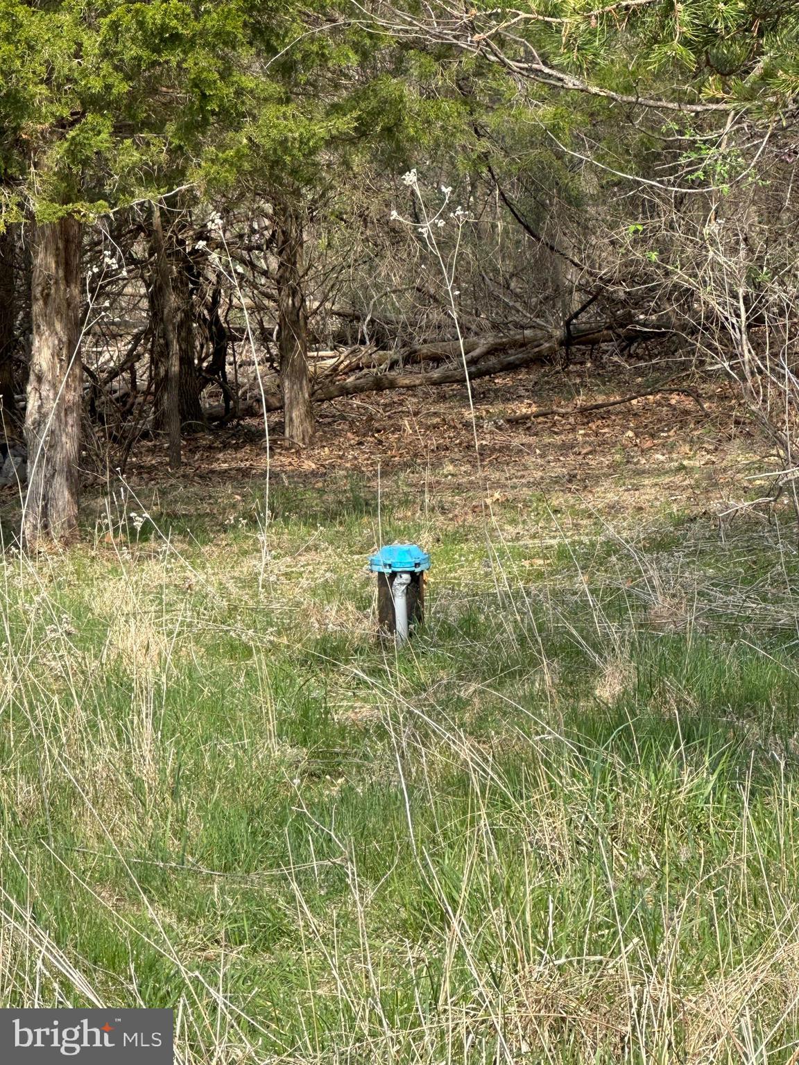 FLOWING SPRINGS - Residential