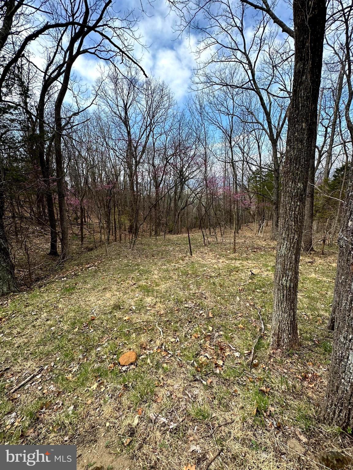 FLOWING SPRINGS - Residential