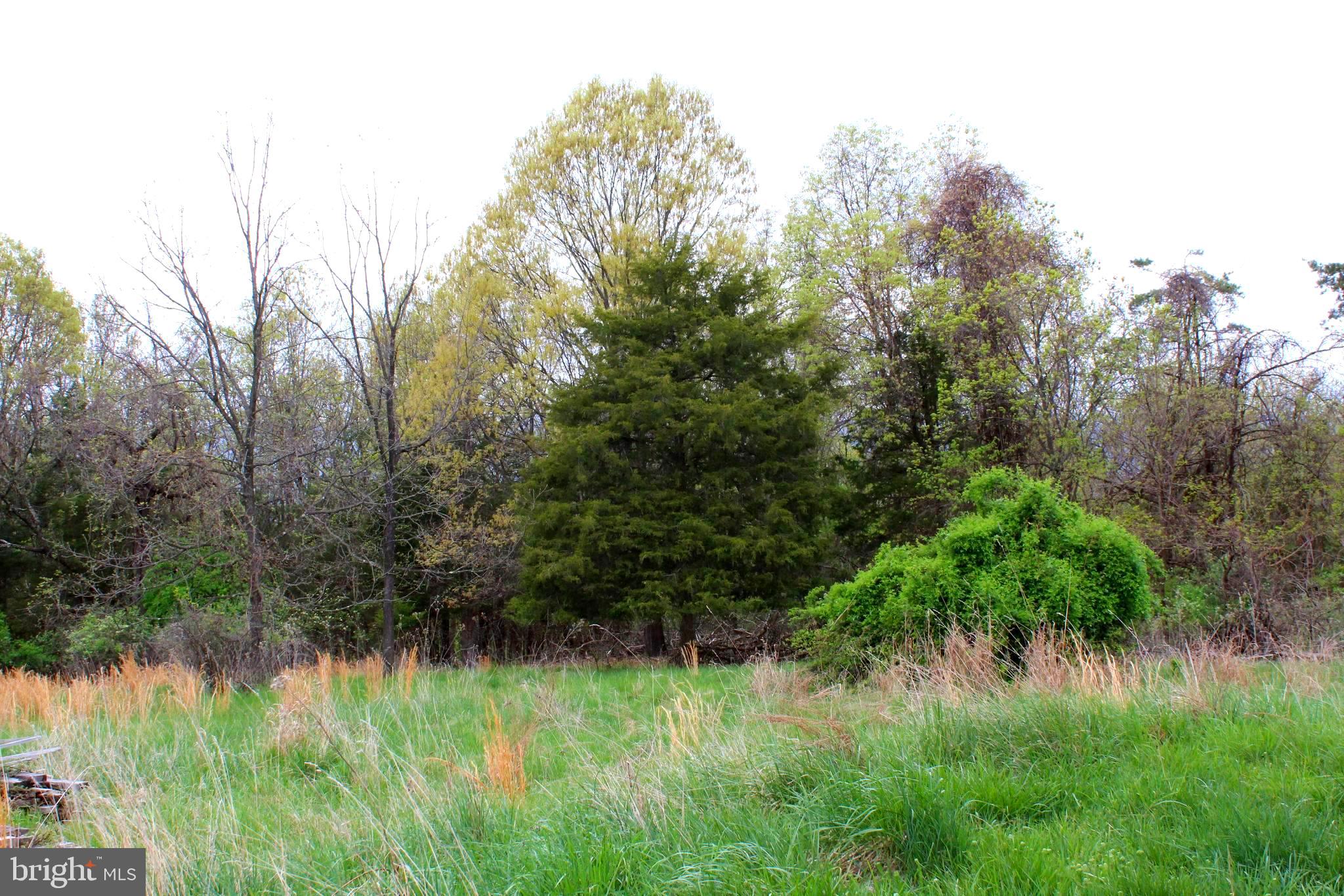 FLOWING SPRINGS - Residential