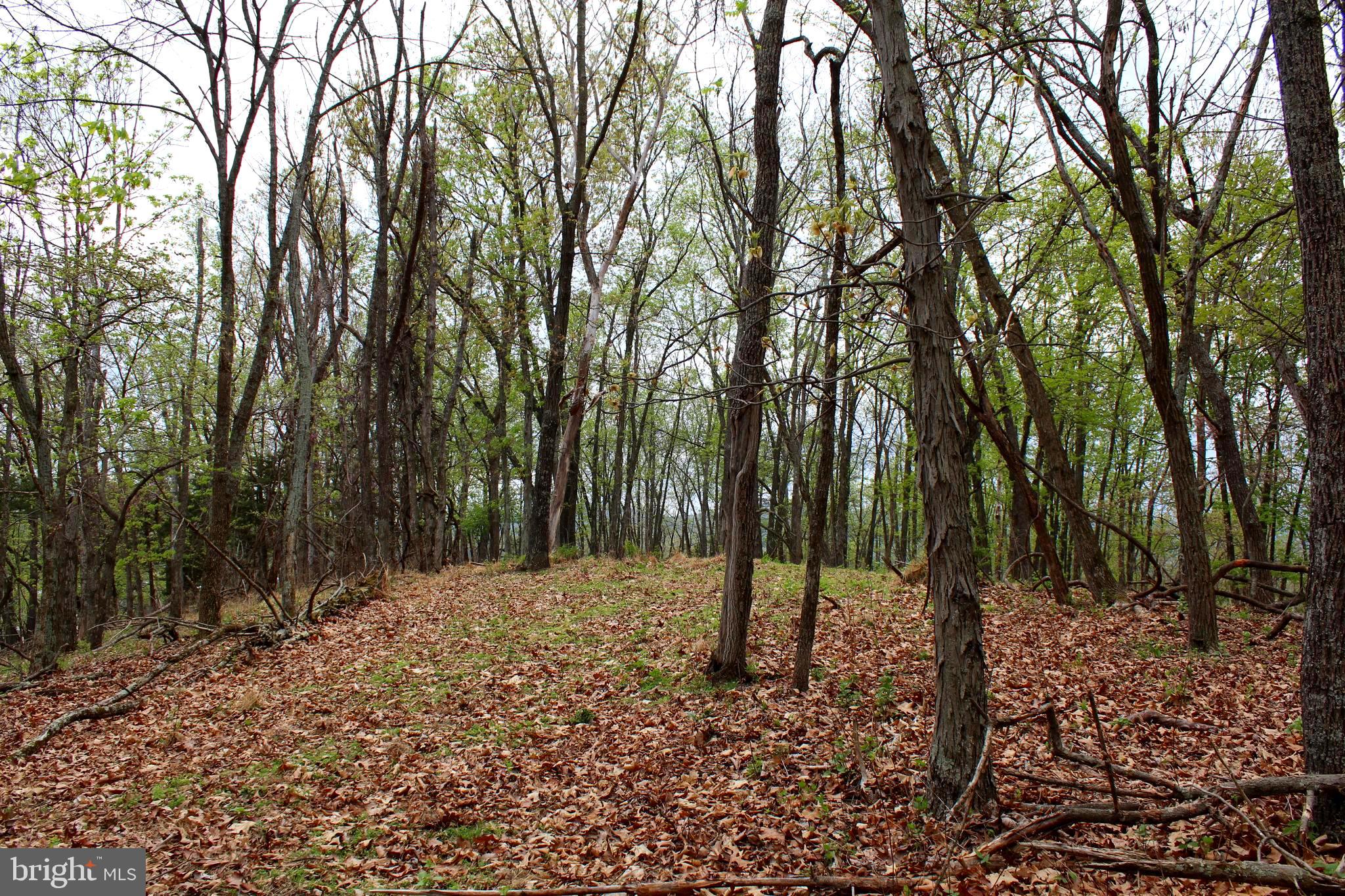 FLOWING SPRINGS - Residential