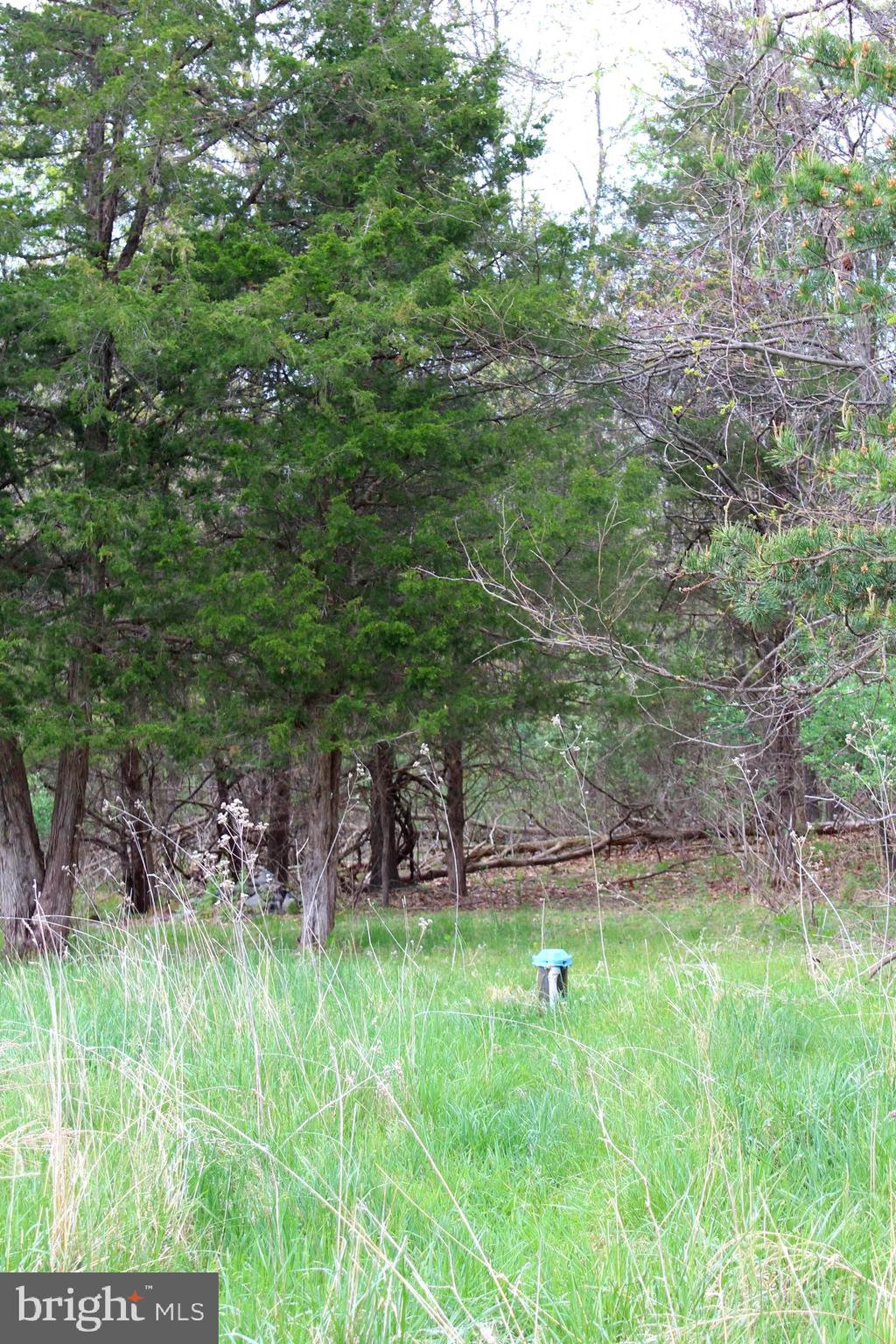 FLOWING SPRINGS - Residential