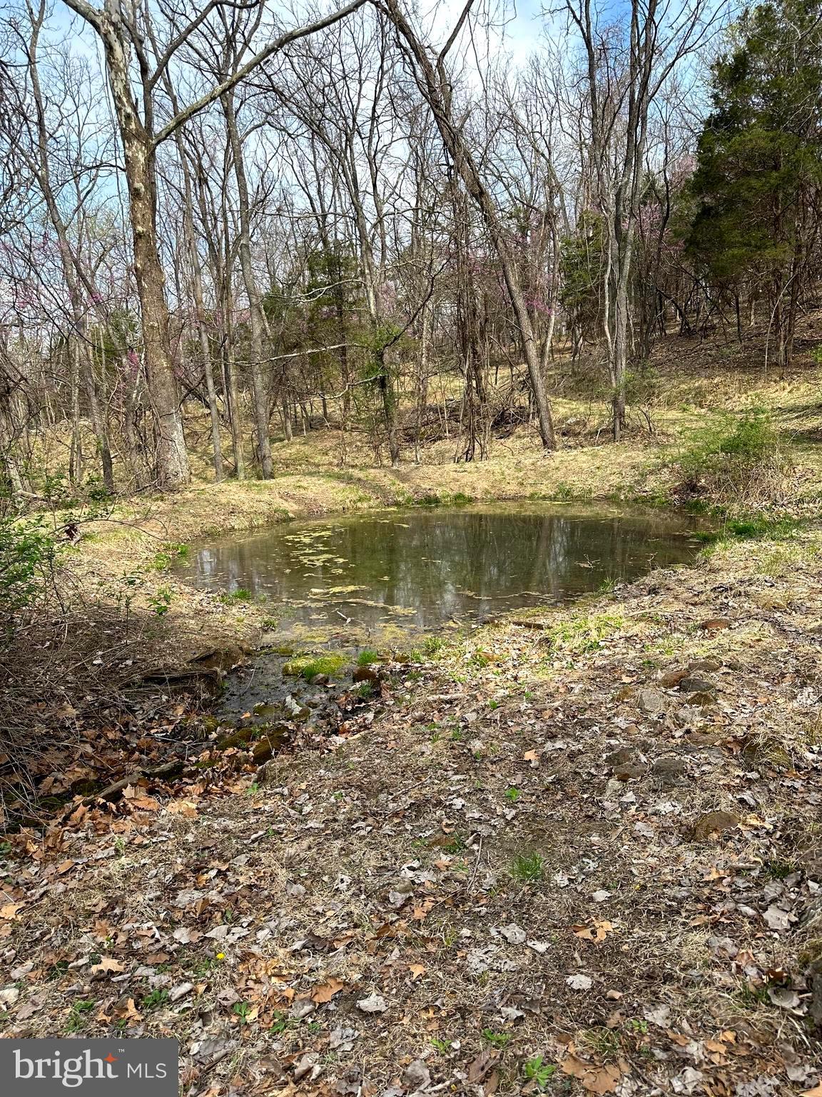 FLOWING SPRINGS - Residential