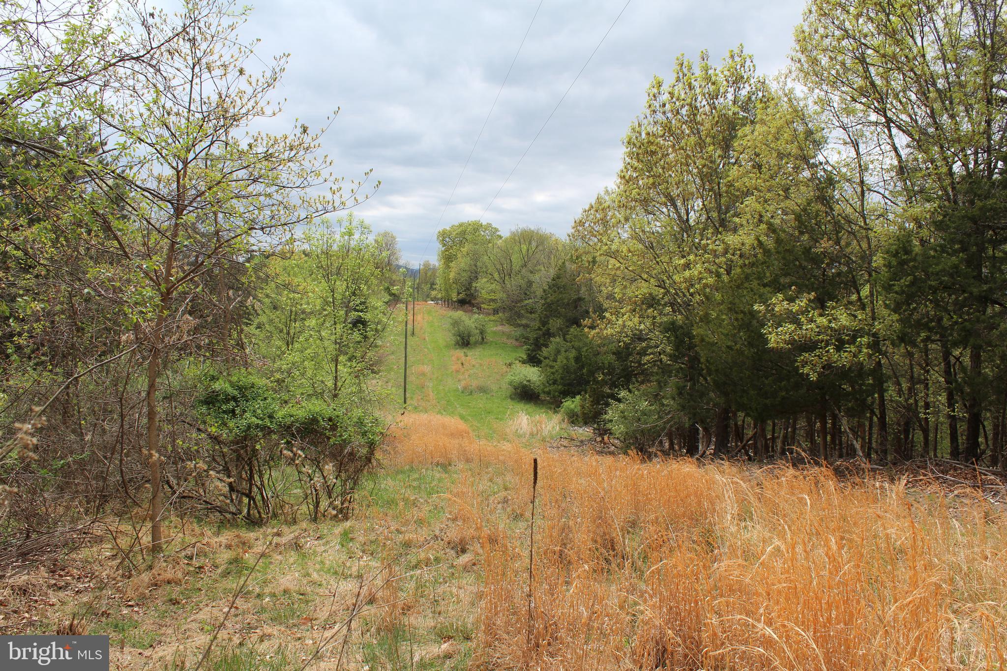 FLOWING SPRINGS - Residential