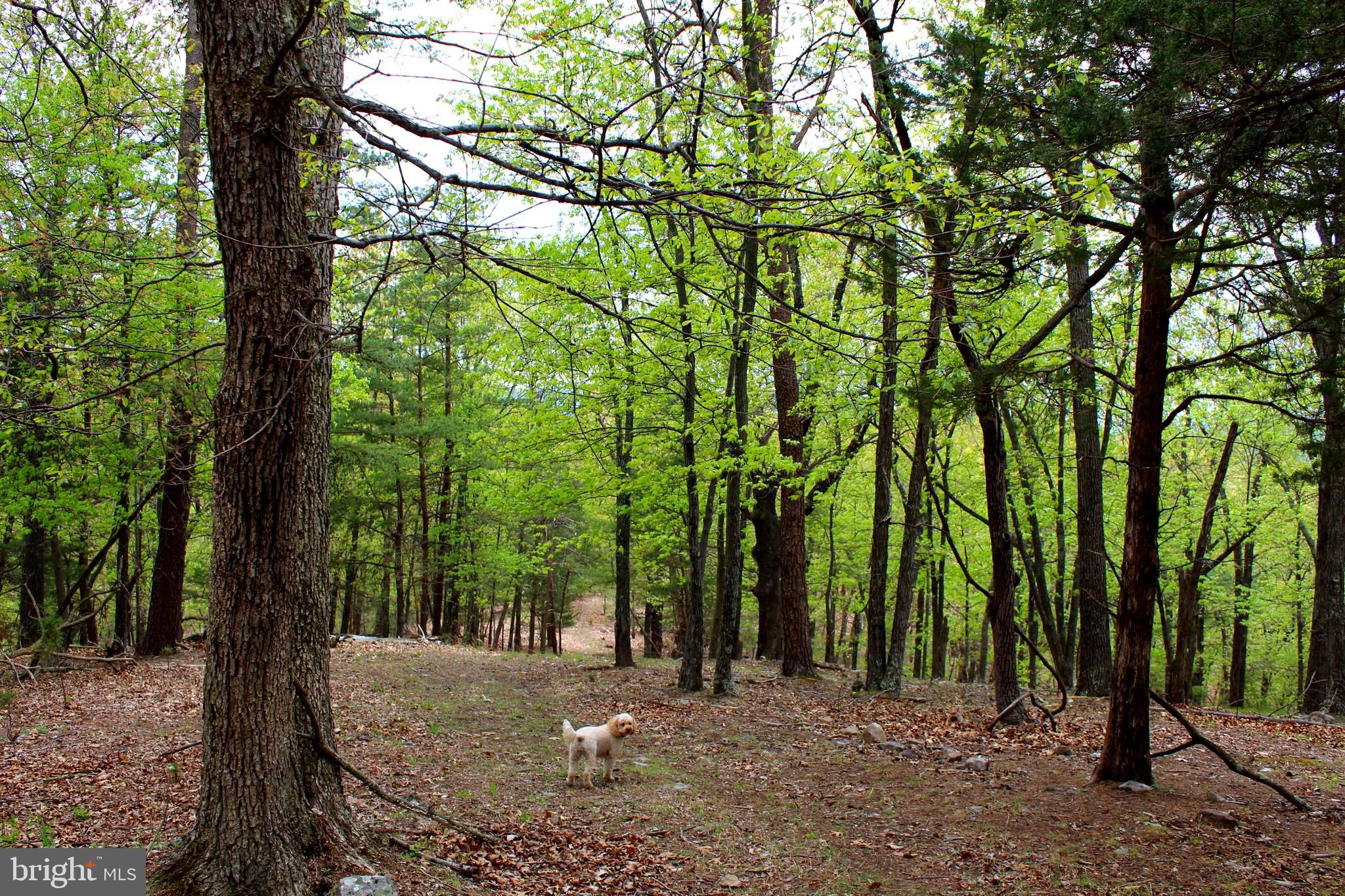FLOWING SPRINGS - Residential