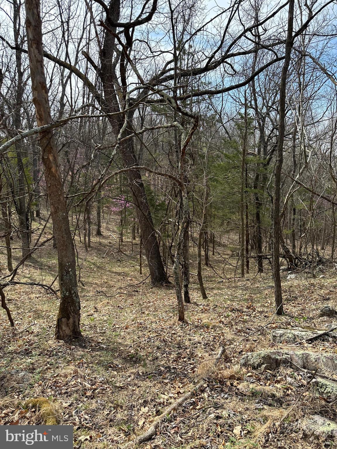 FLOWING SPRINGS - Residential