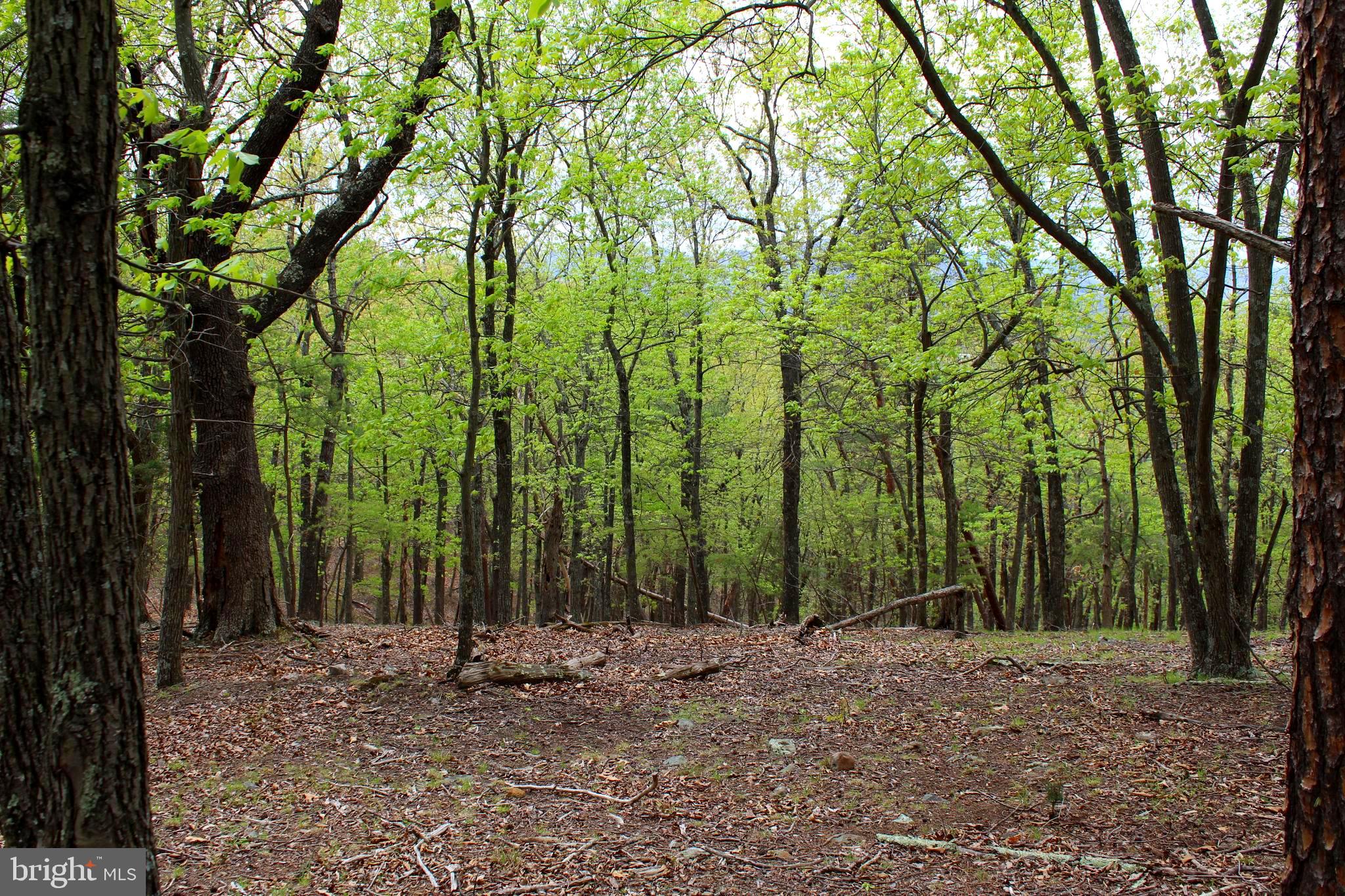 FLOWING SPRINGS - Residential