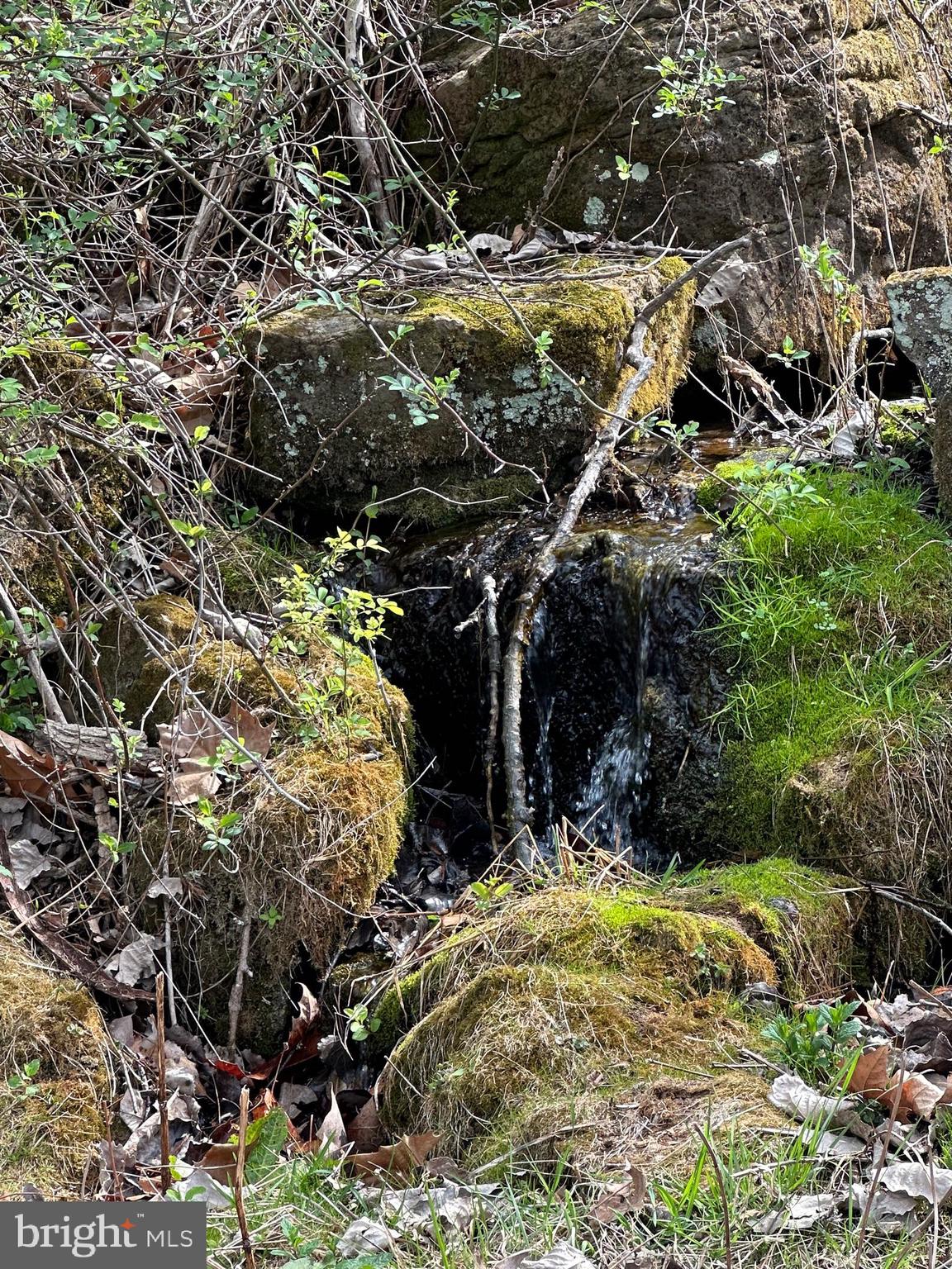 FLOWING SPRINGS - Residential