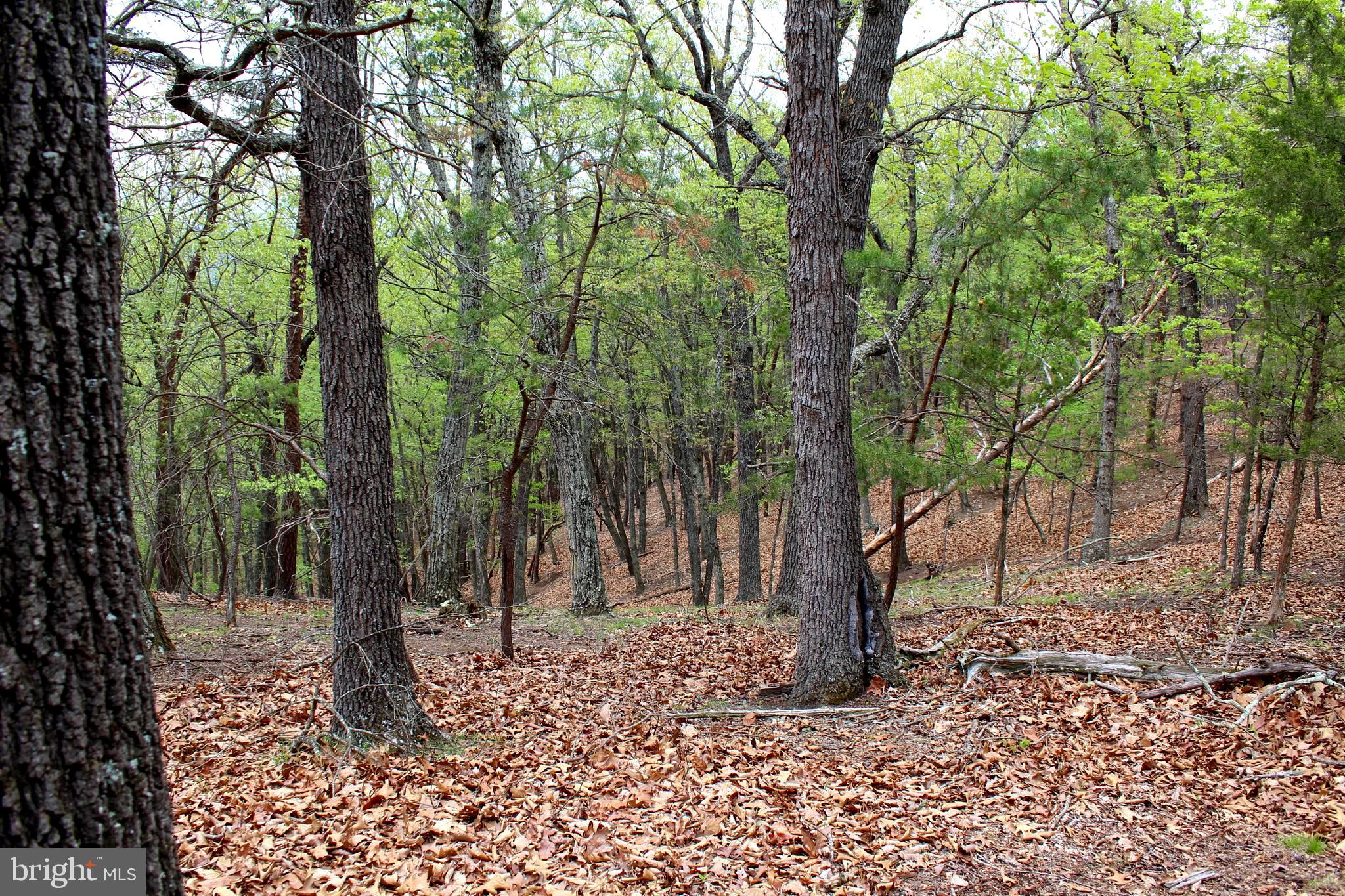 FLOWING SPRINGS - Residential