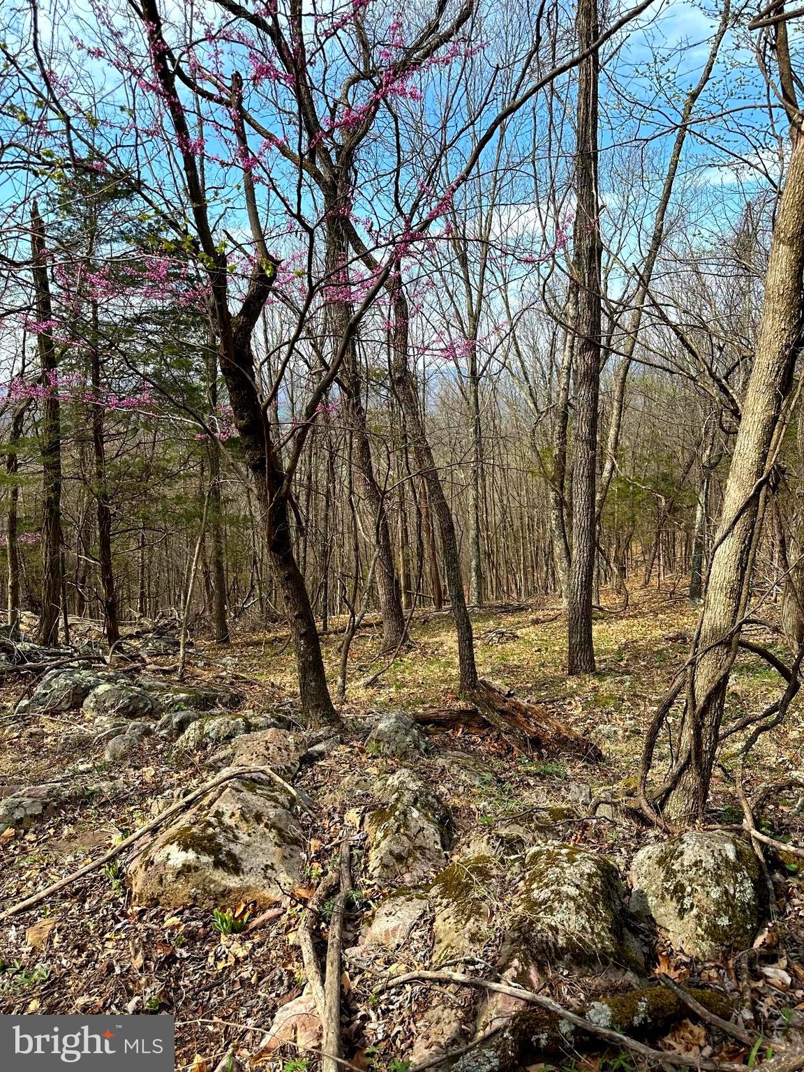 FLOWING SPRINGS - Residential