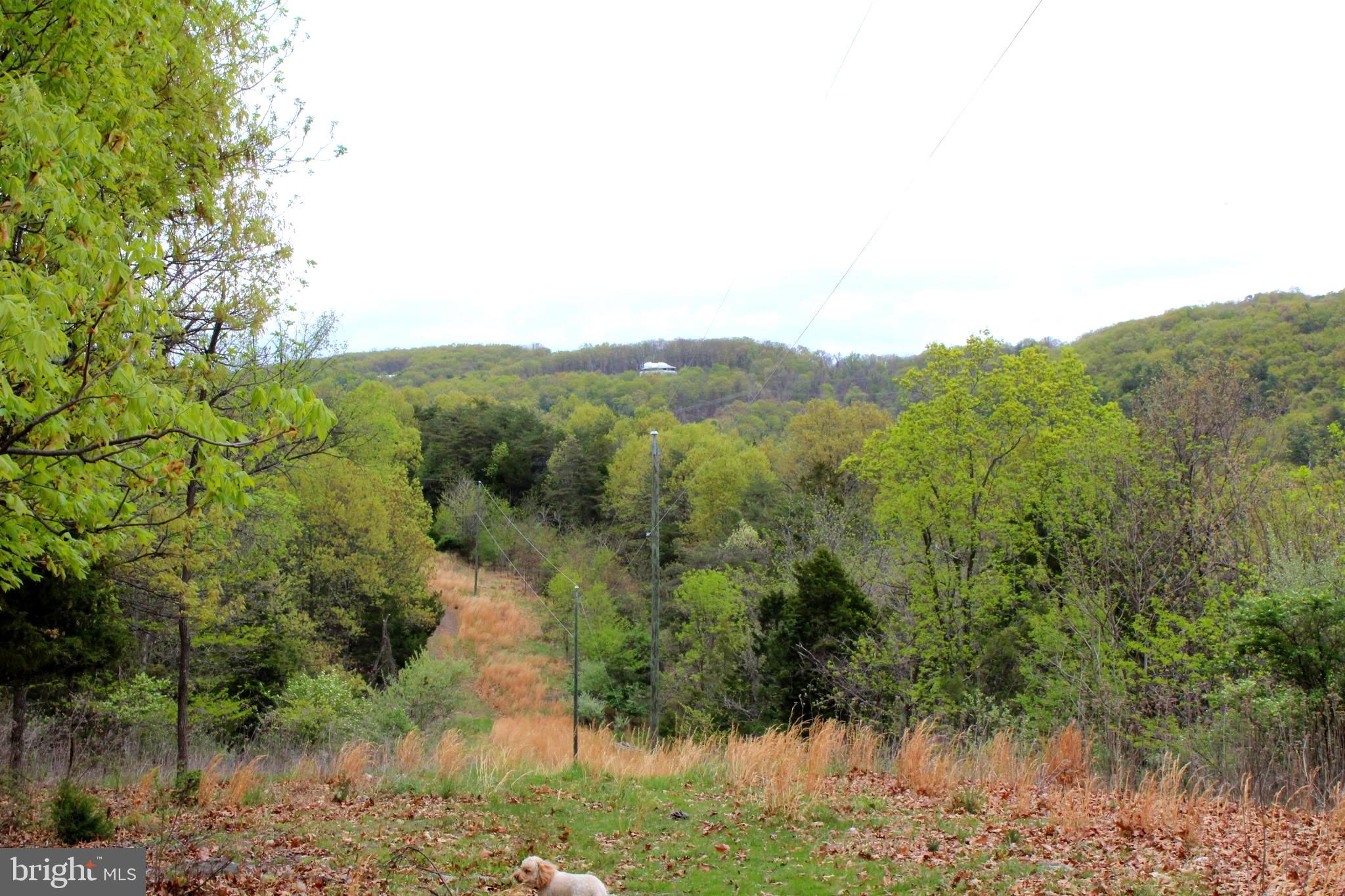 FLOWING SPRINGS - Residential