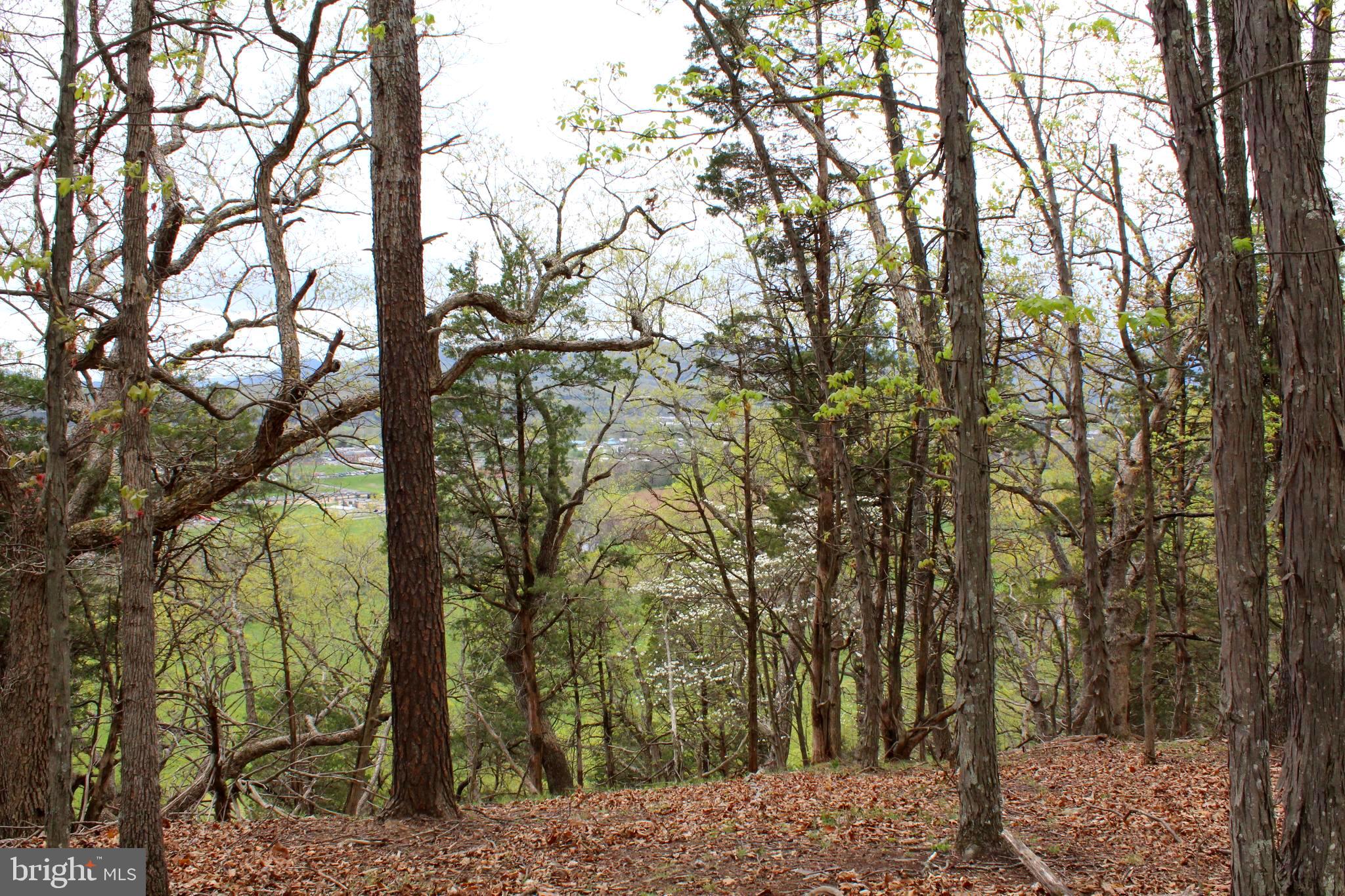 FLOWING SPRINGS - Residential