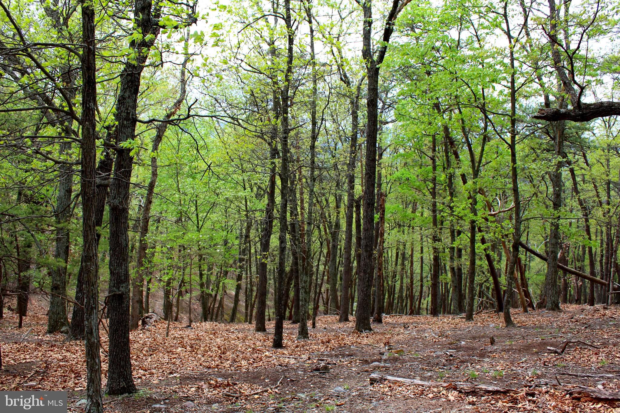 FLOWING SPRINGS - Residential