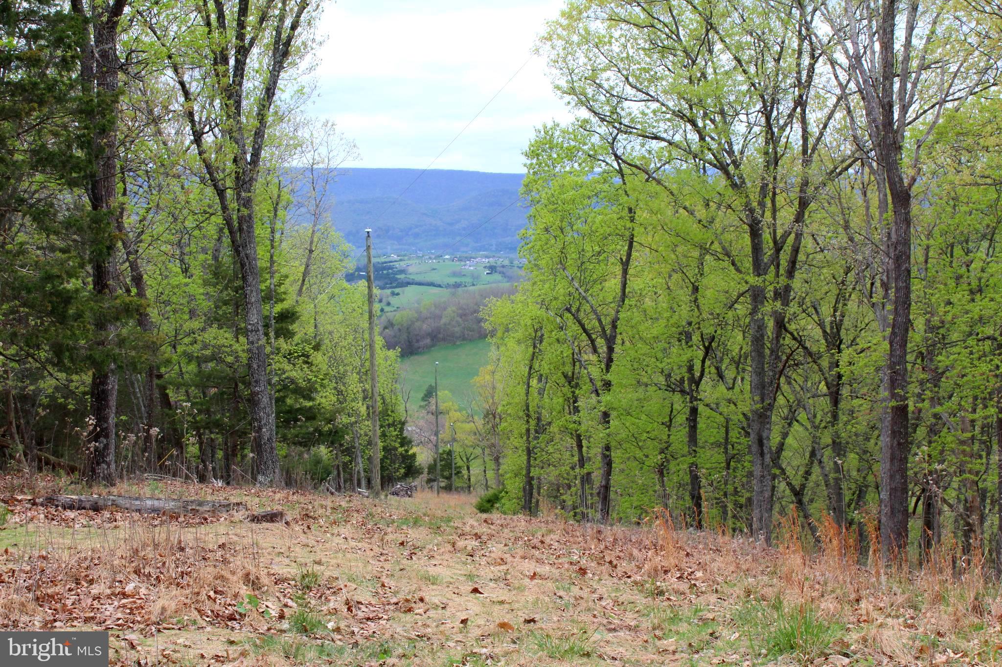 FLOWING SPRINGS - Residential