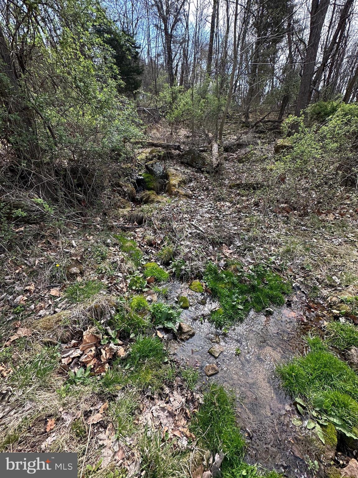 FLOWING SPRINGS - Residential