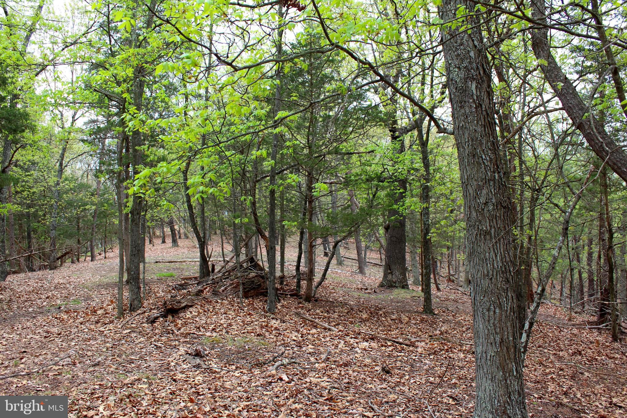 FLOWING SPRINGS - Residential