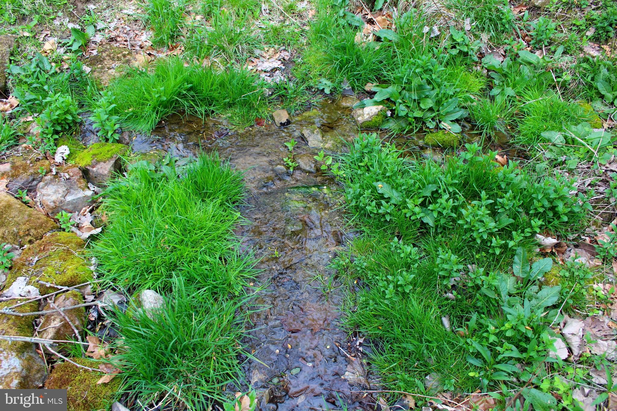 FLOWING SPRINGS - Residential